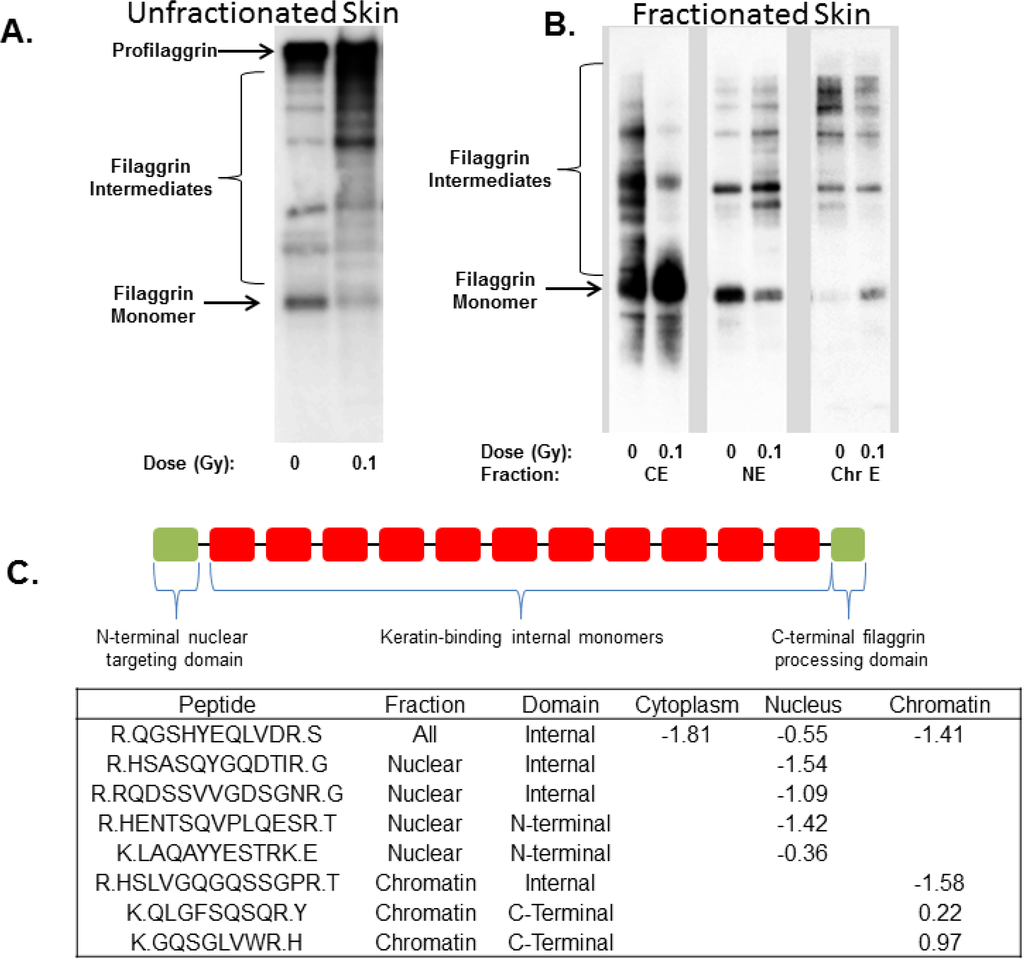 Proteomes 02 00382 g004 1024