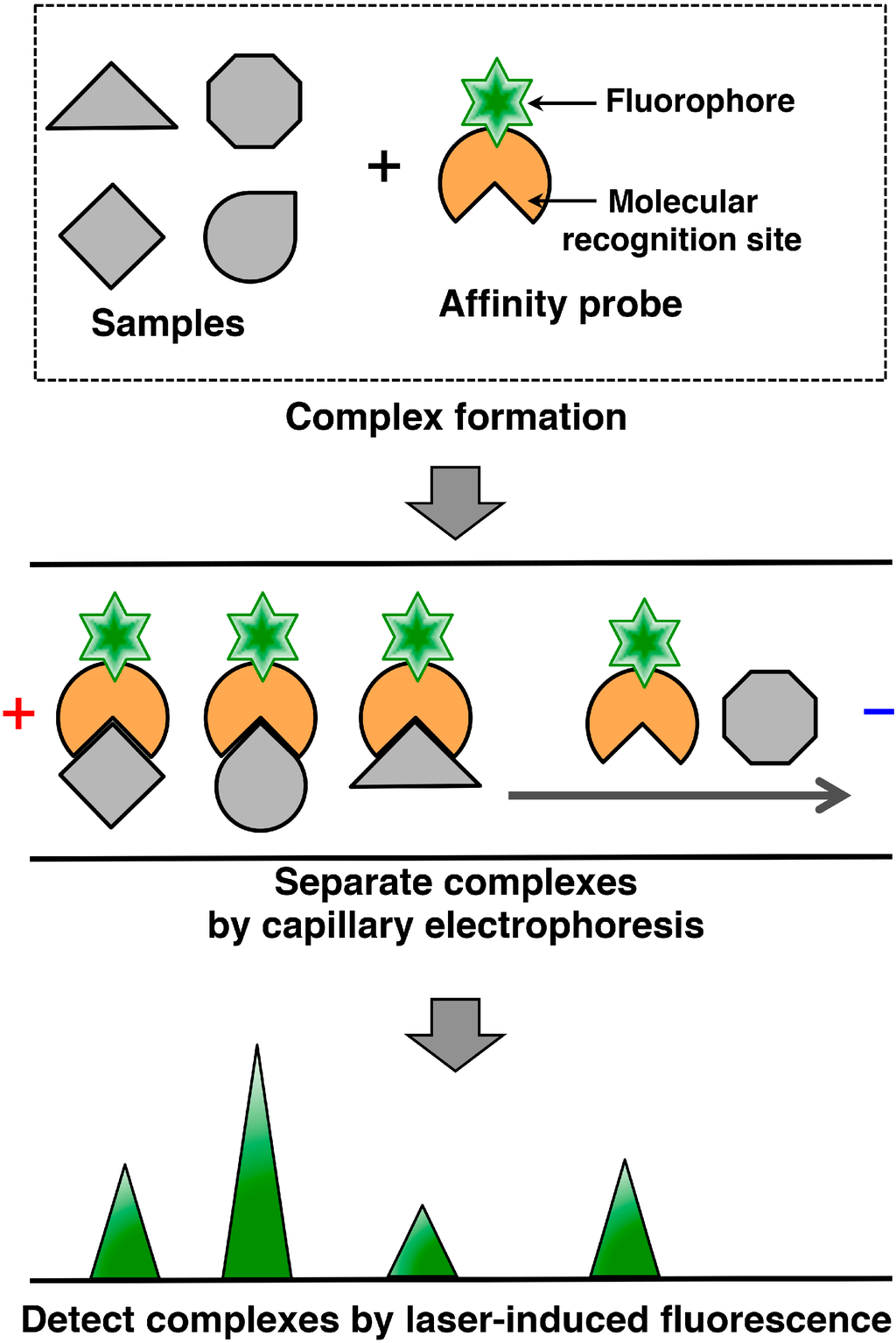 Proteomes 03 00042 g001 1024