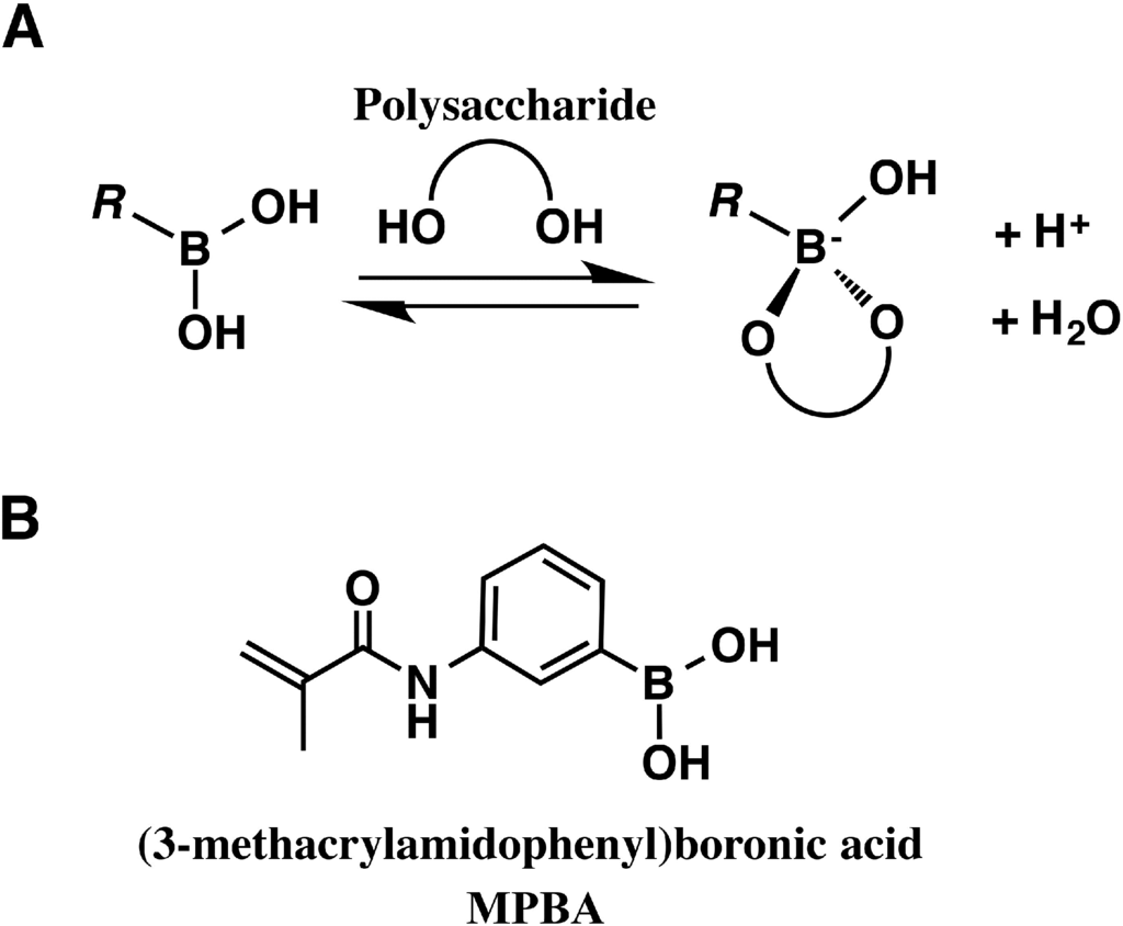 Proteomes 03 00042 g003 1024
