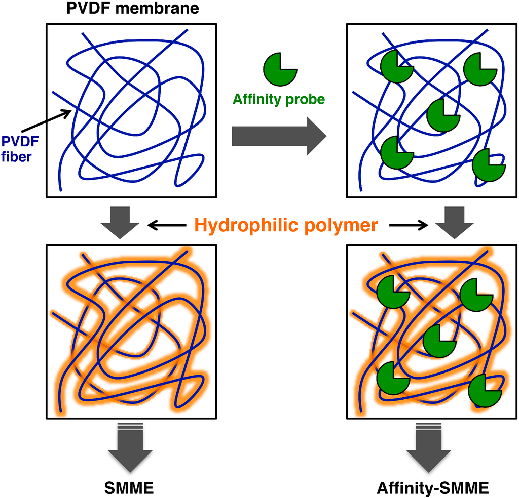 Proteomes 03 00042 g004 1024