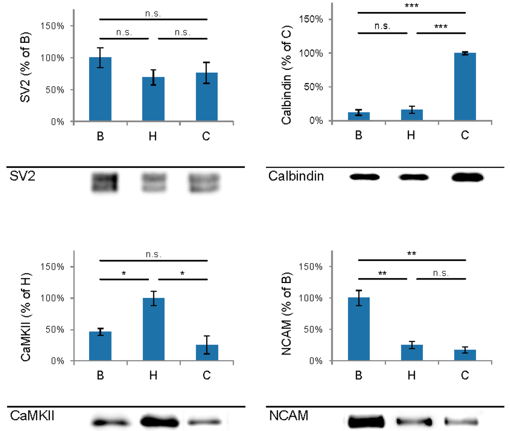 Proteomes 03 00074 g003 1024
