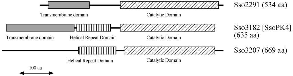 Proteomes 03 00089 g002 1024