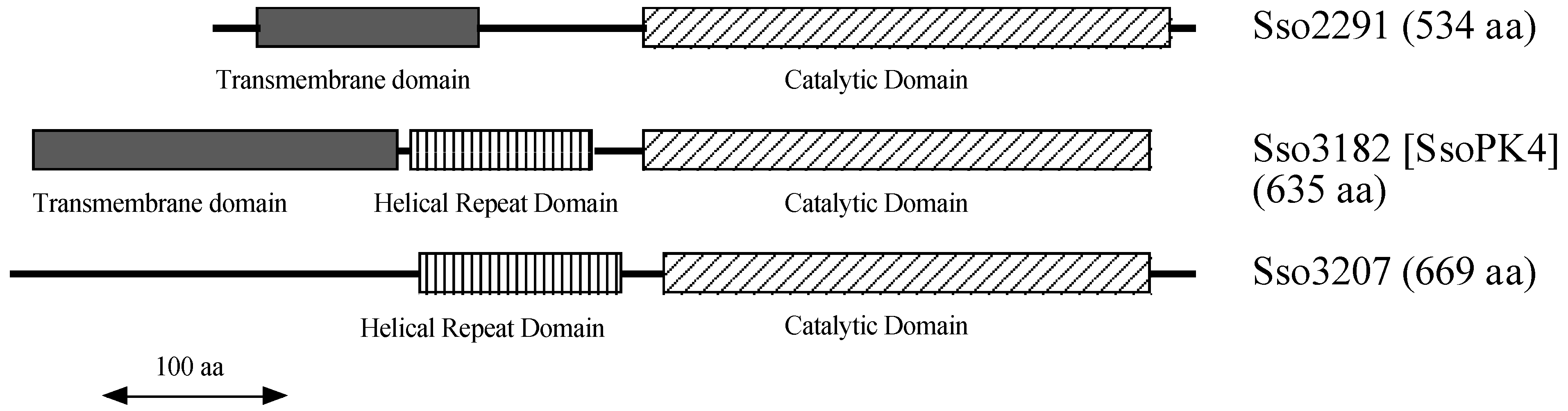 Proteomes 03 00089 g002