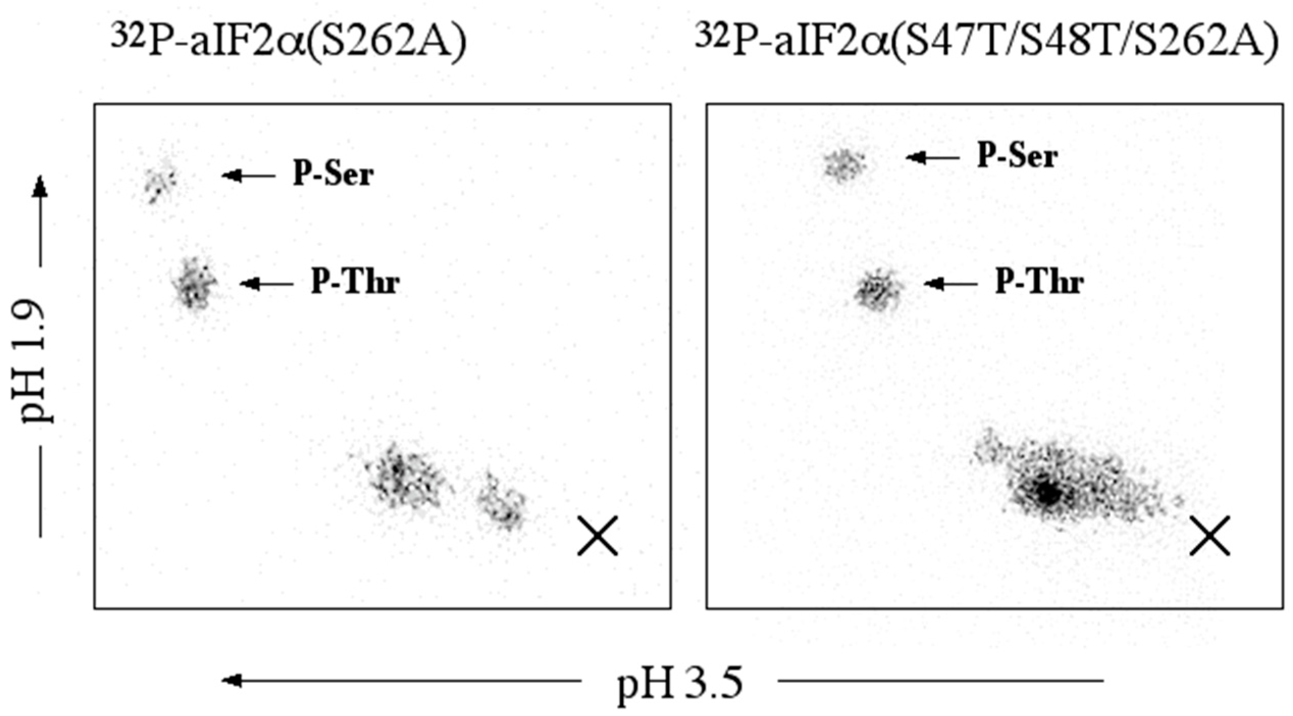 Proteomes 03 00089 g005