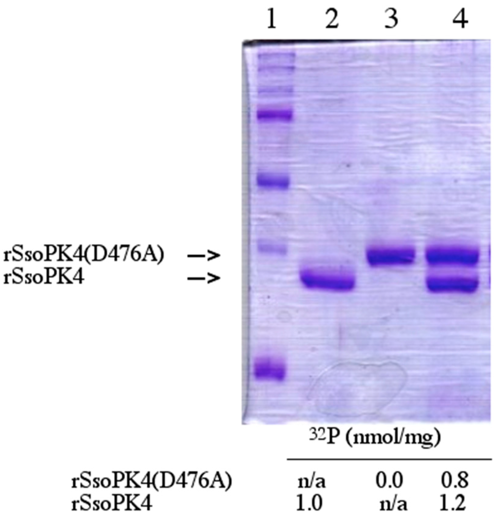 Proteomes 03 00089 g006 1024