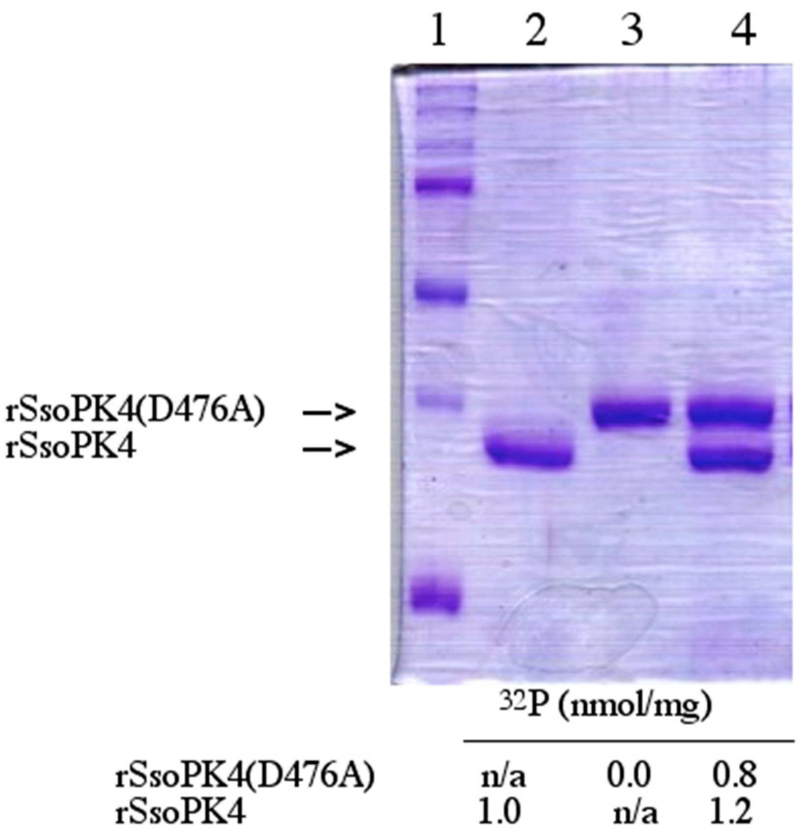 Proteomes 03 00089 g006