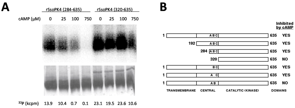 Proteomes 03 00089 g007 1024