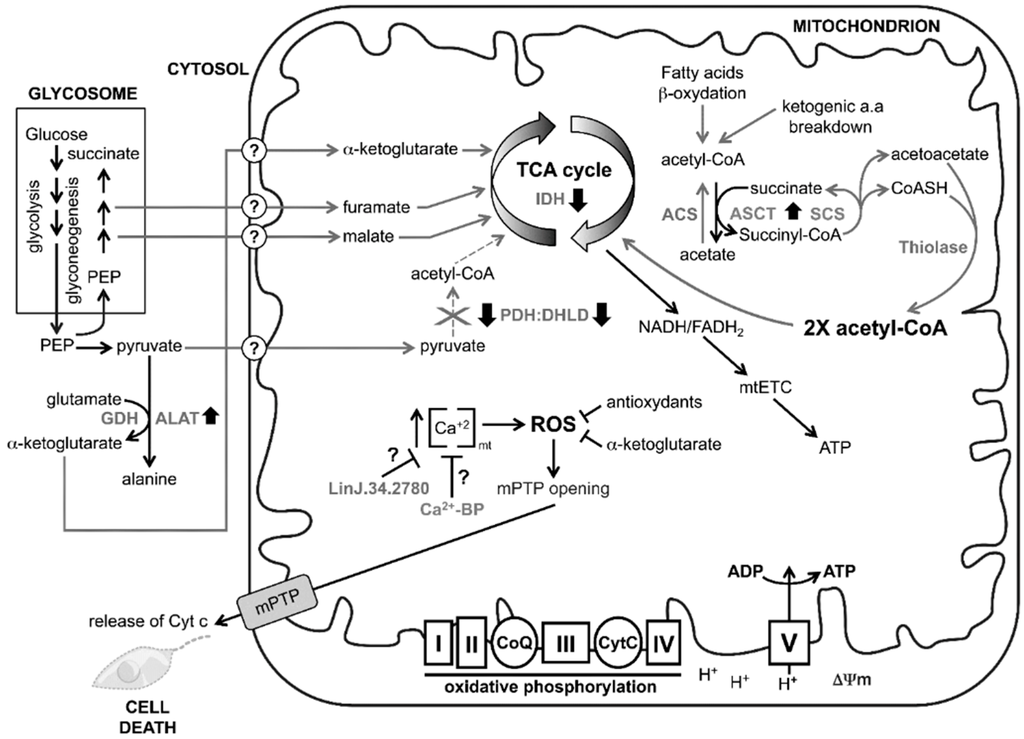 Proteomes 03 00328 g003 1024