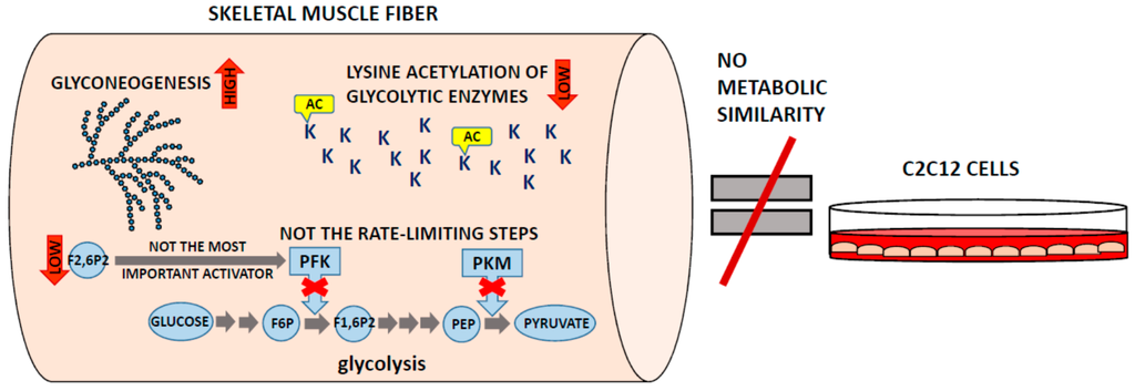 Proteomes 04 00002 g002 1024