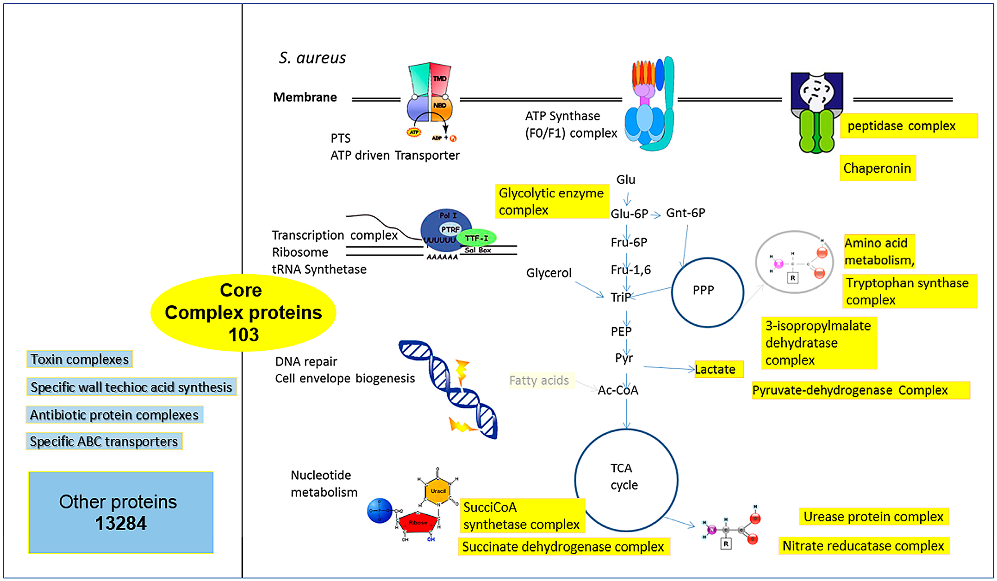 Proteomes 04 00008 g004