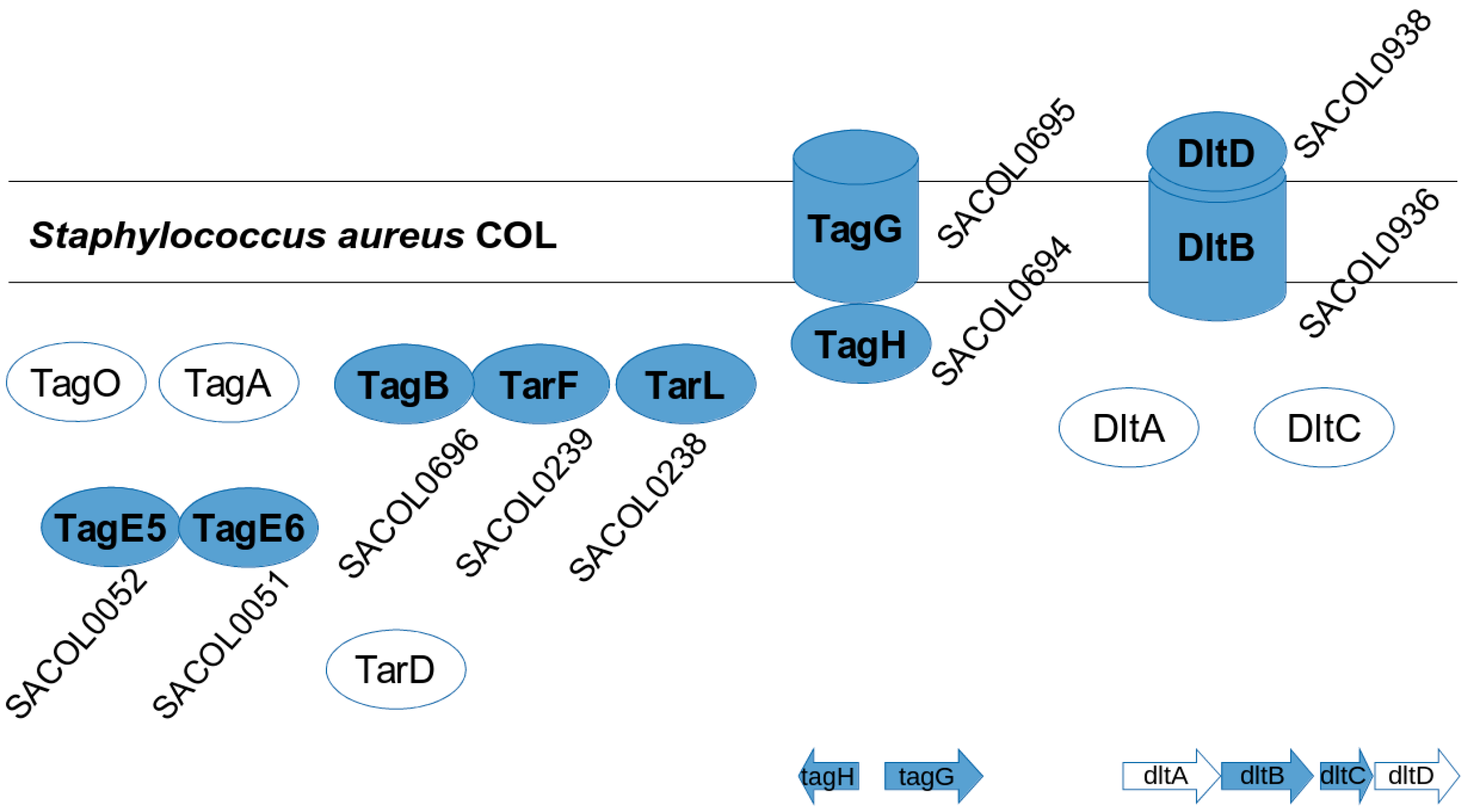 Proteomes 04 00008 g005