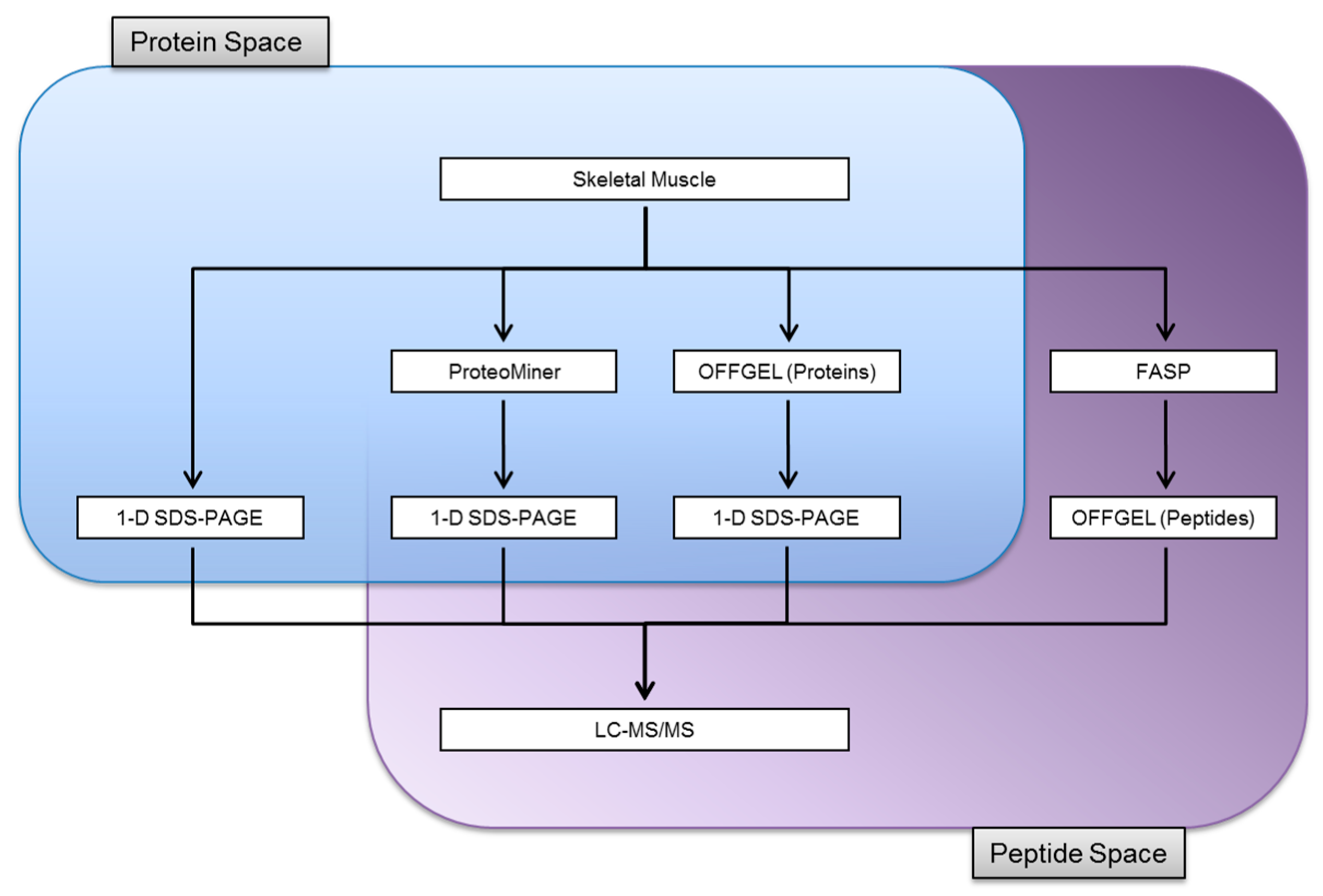 Proteomes 04 00010 g001