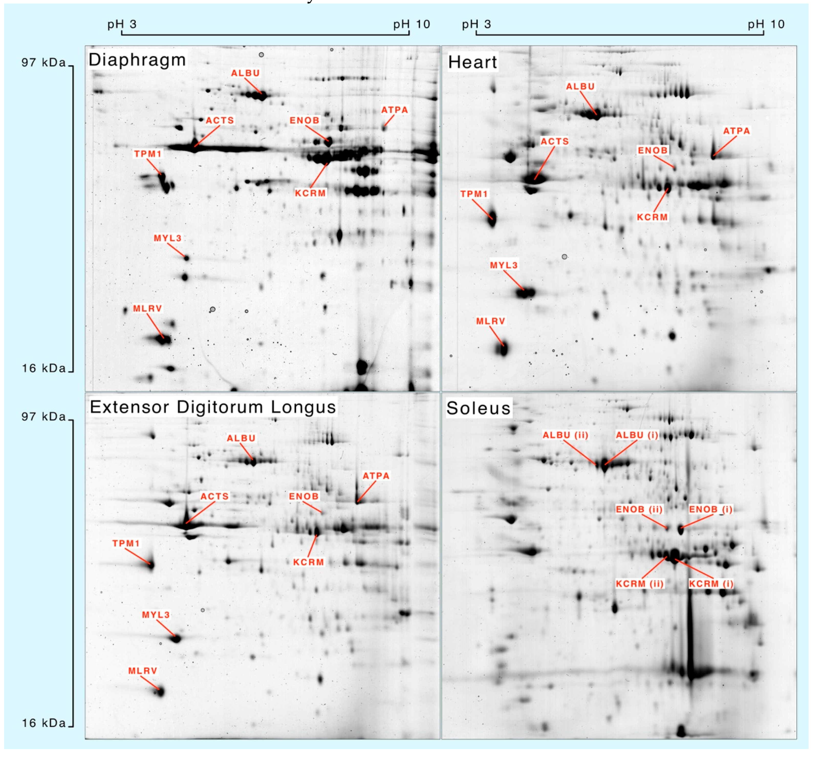 Proteomes 04 00012 g001