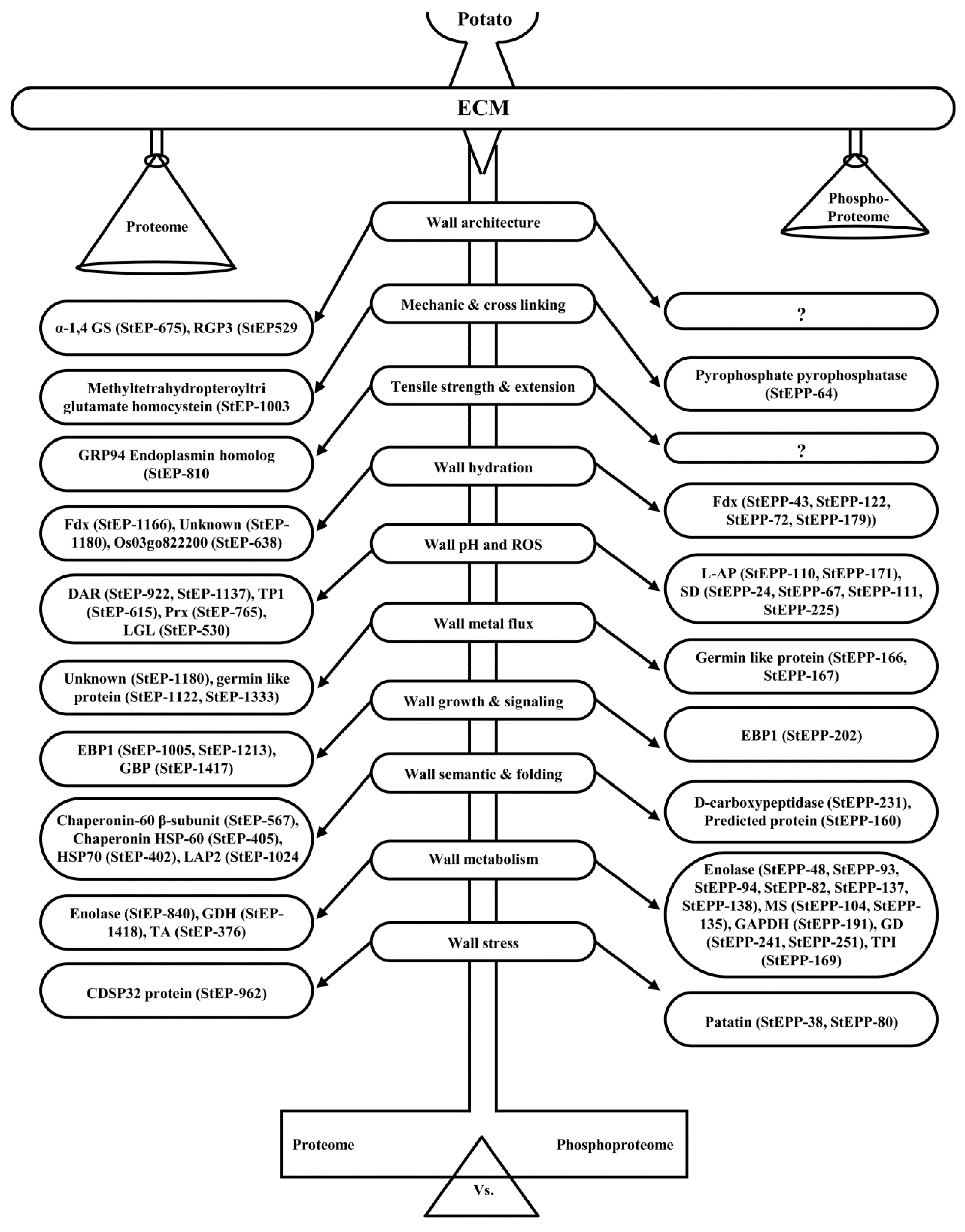 Proteomes 04 00020 g007