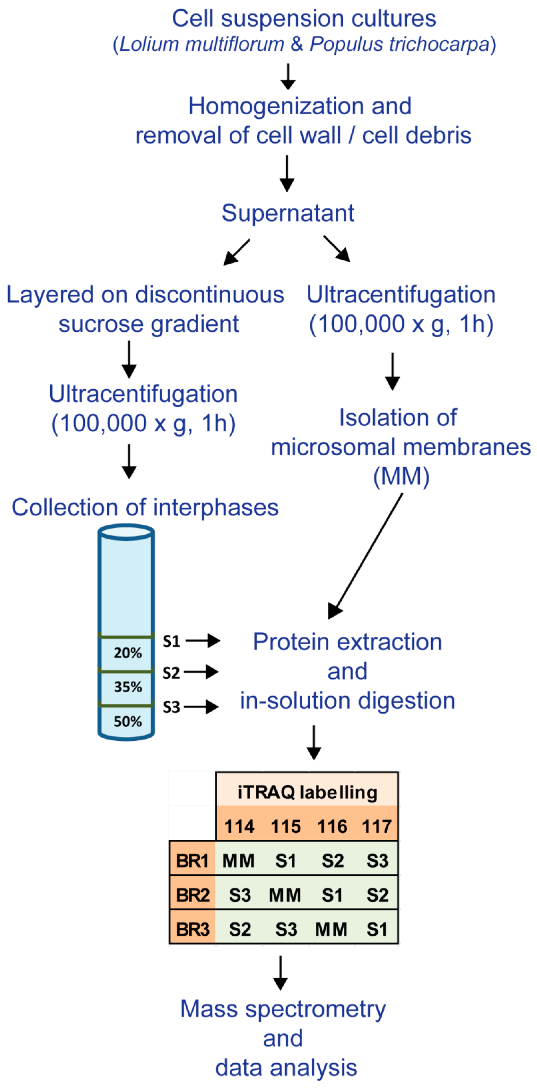 Proteomes 04 00023 g001