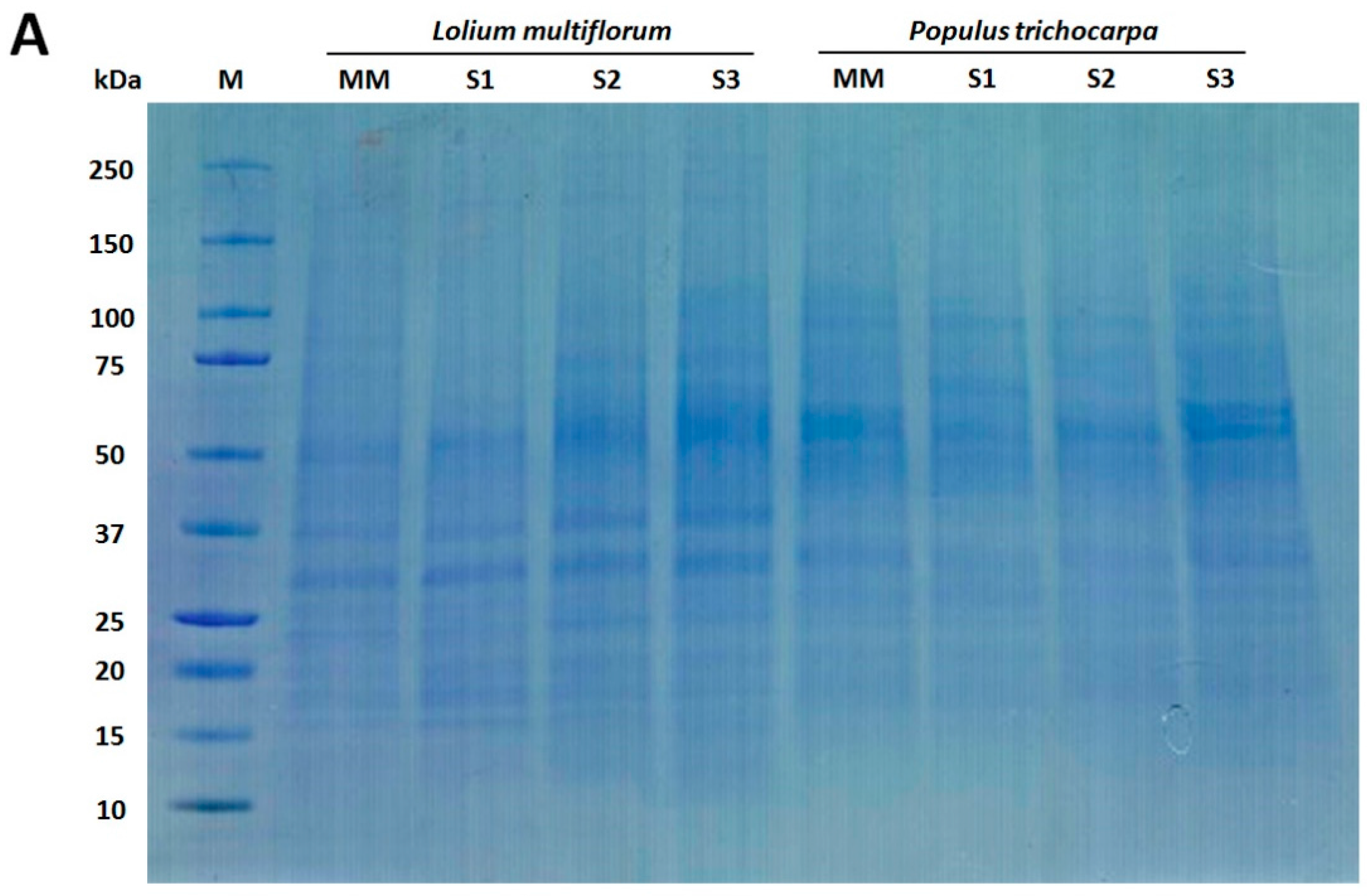 Proteomes 04 00023 g002a