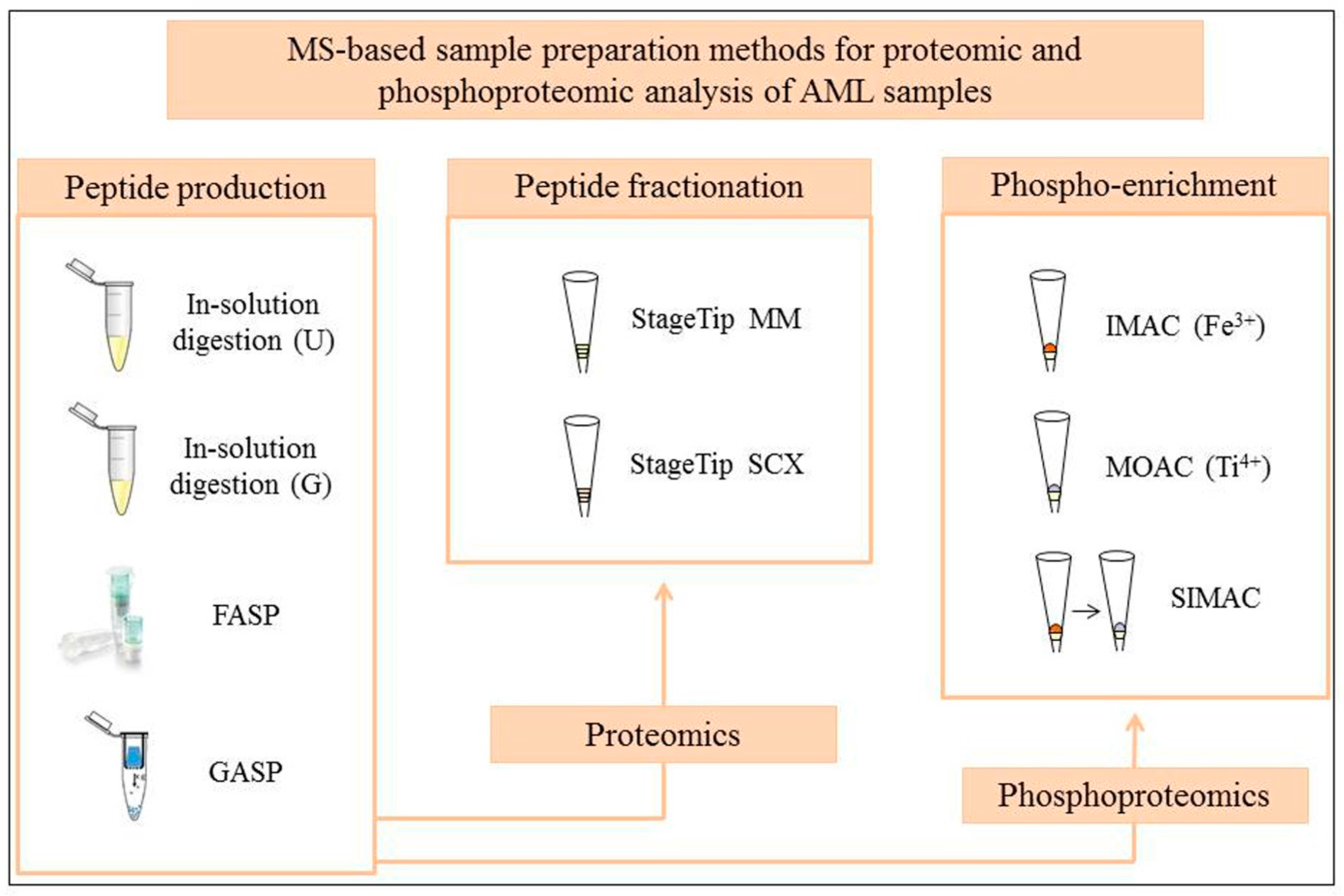 Proteomes 04 00024 g001