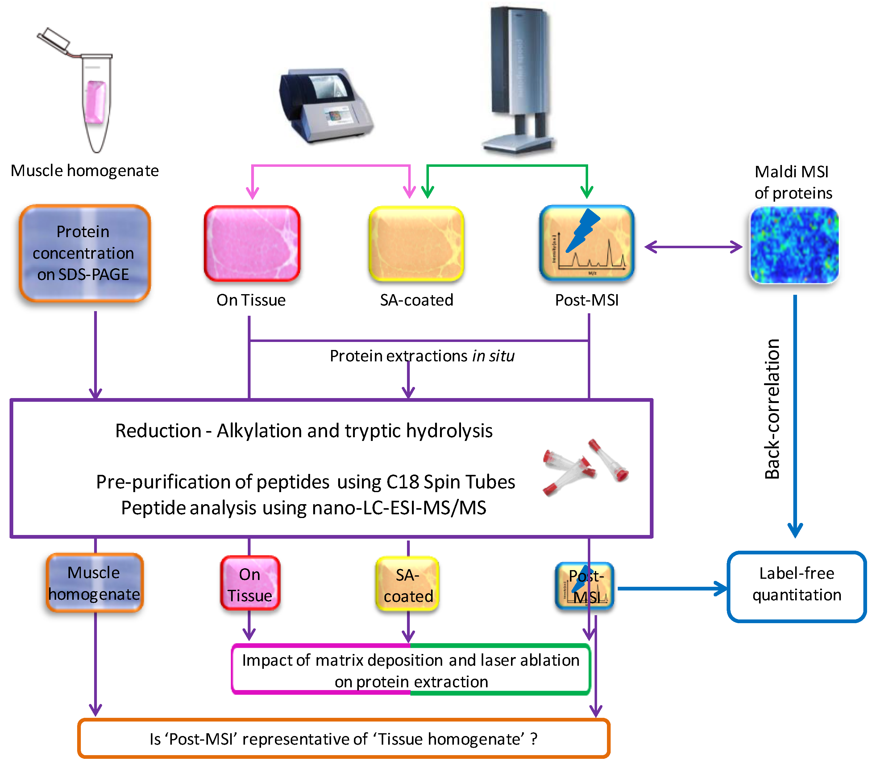 Proteomes 04 00032 g001