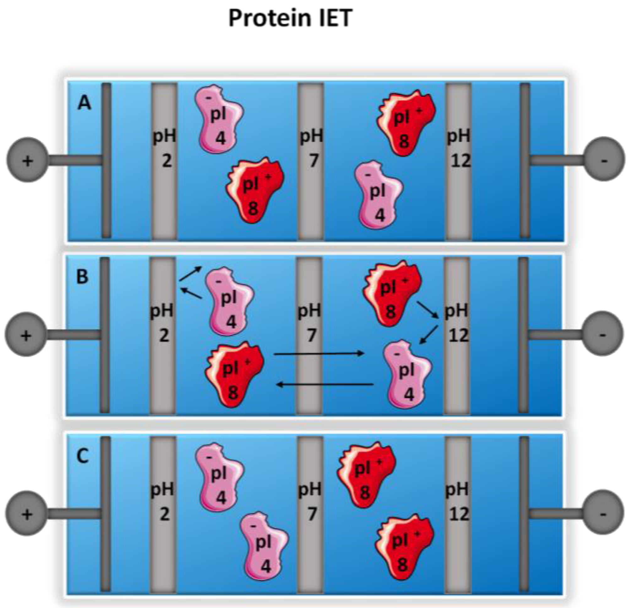 Proteomes 05 00004 g002