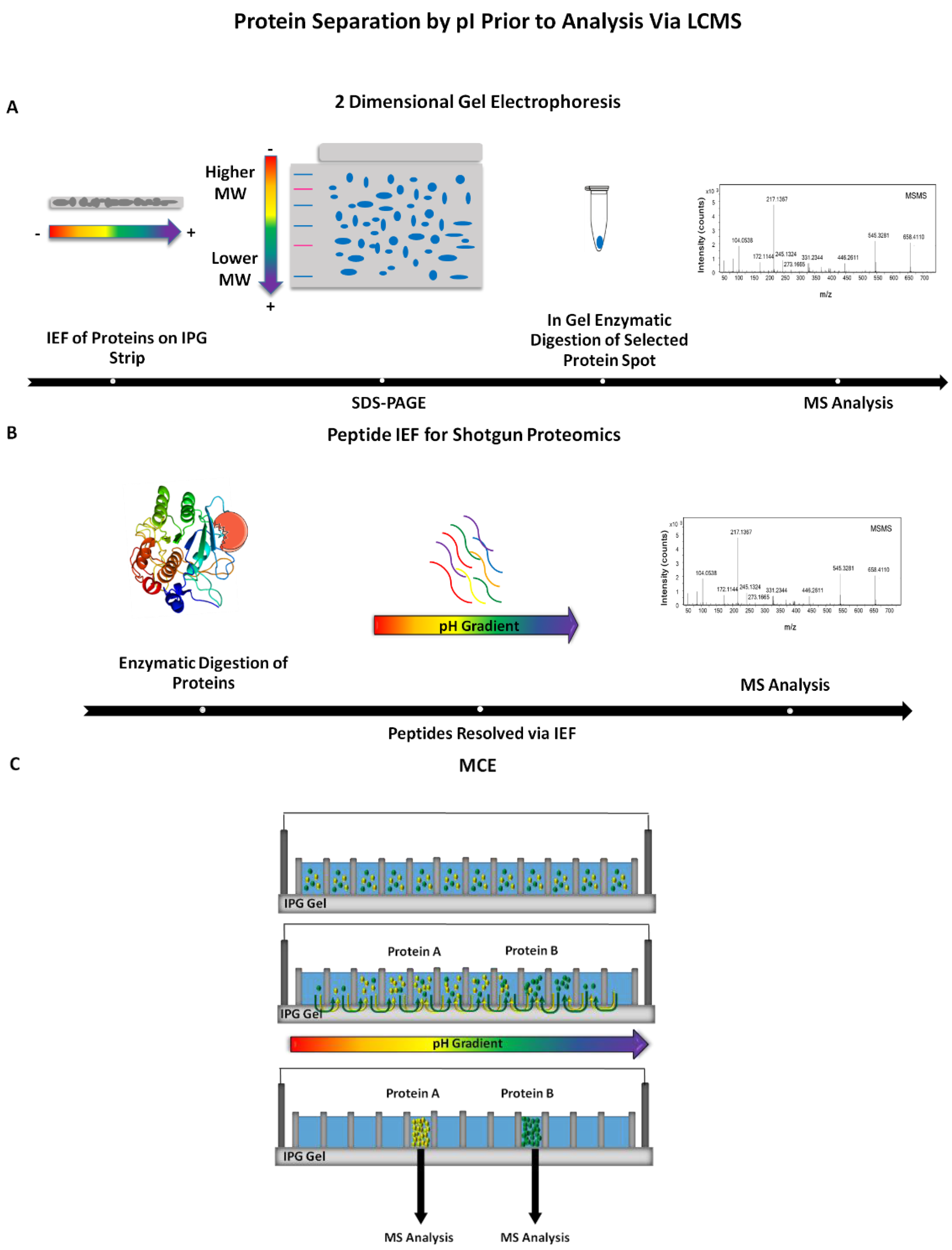 Proteomes 05 00004 g003