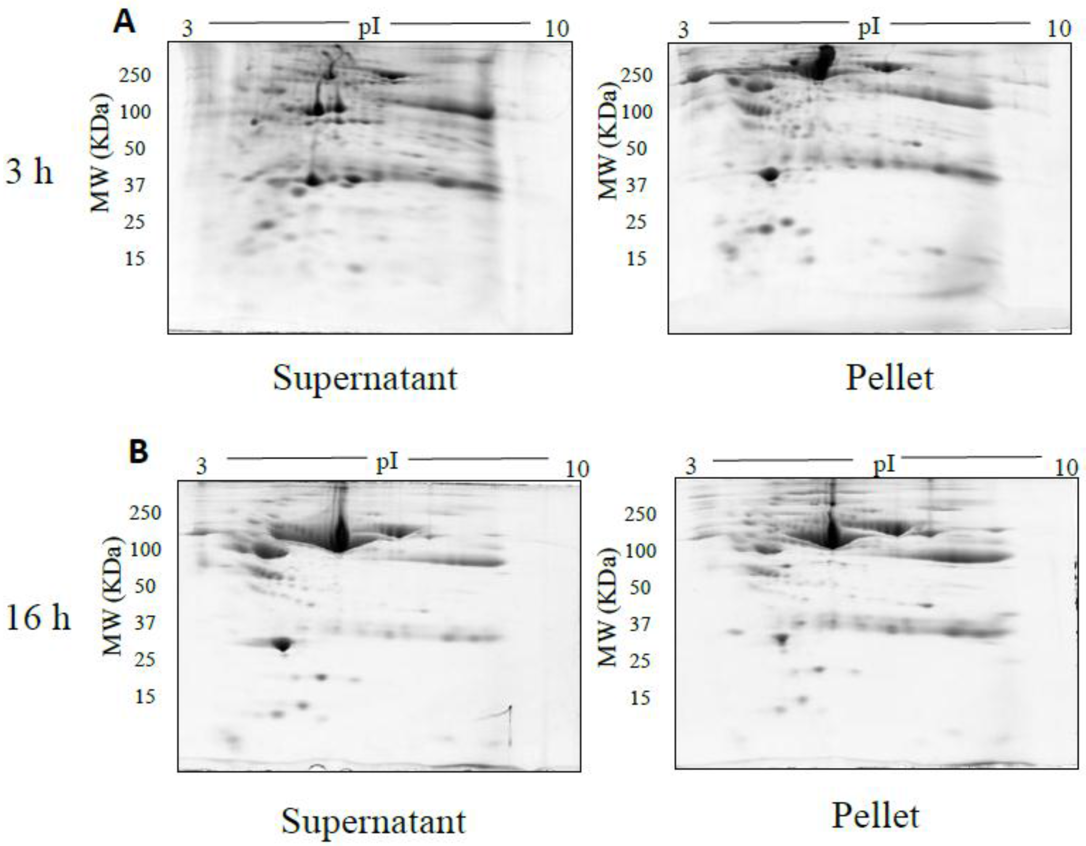 Proteomes 05 00013 g002