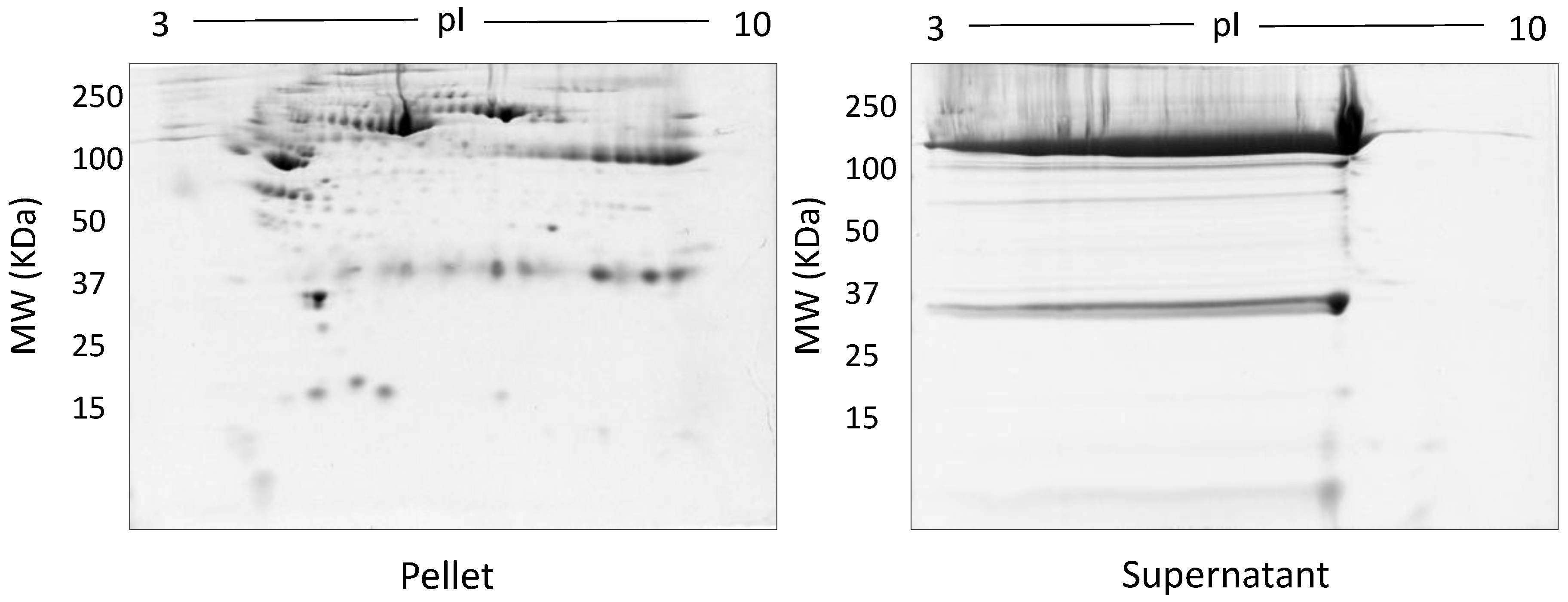 Proteomes 05 00013 g003