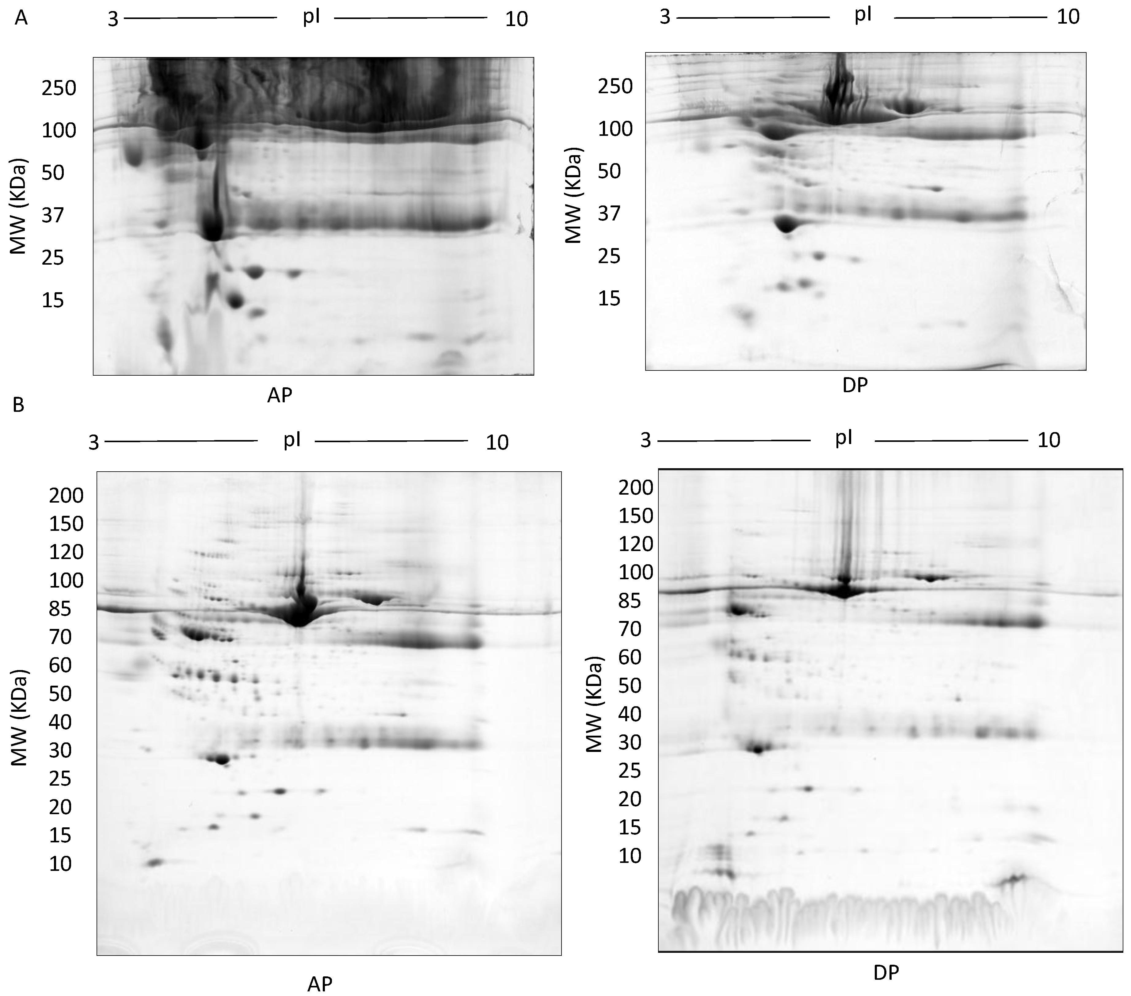Proteomes 05 00013 g004