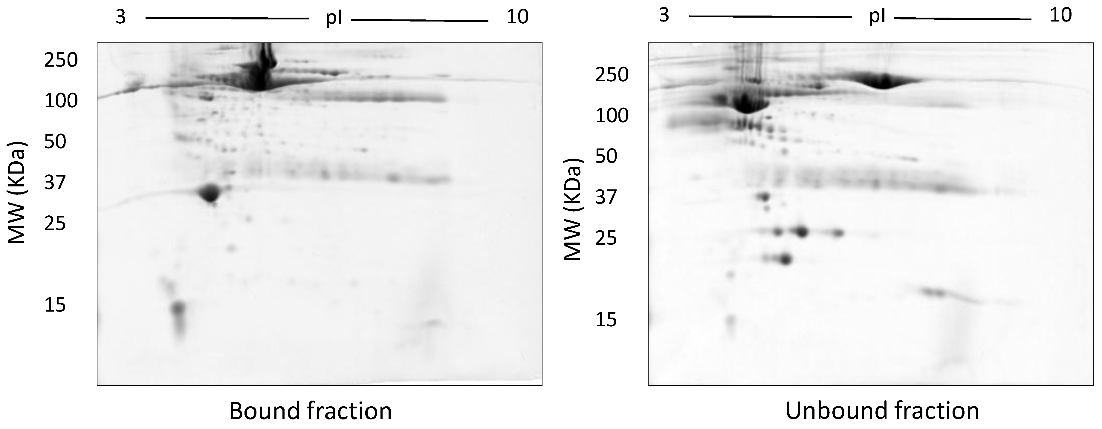 Proteomes 05 00013 g006