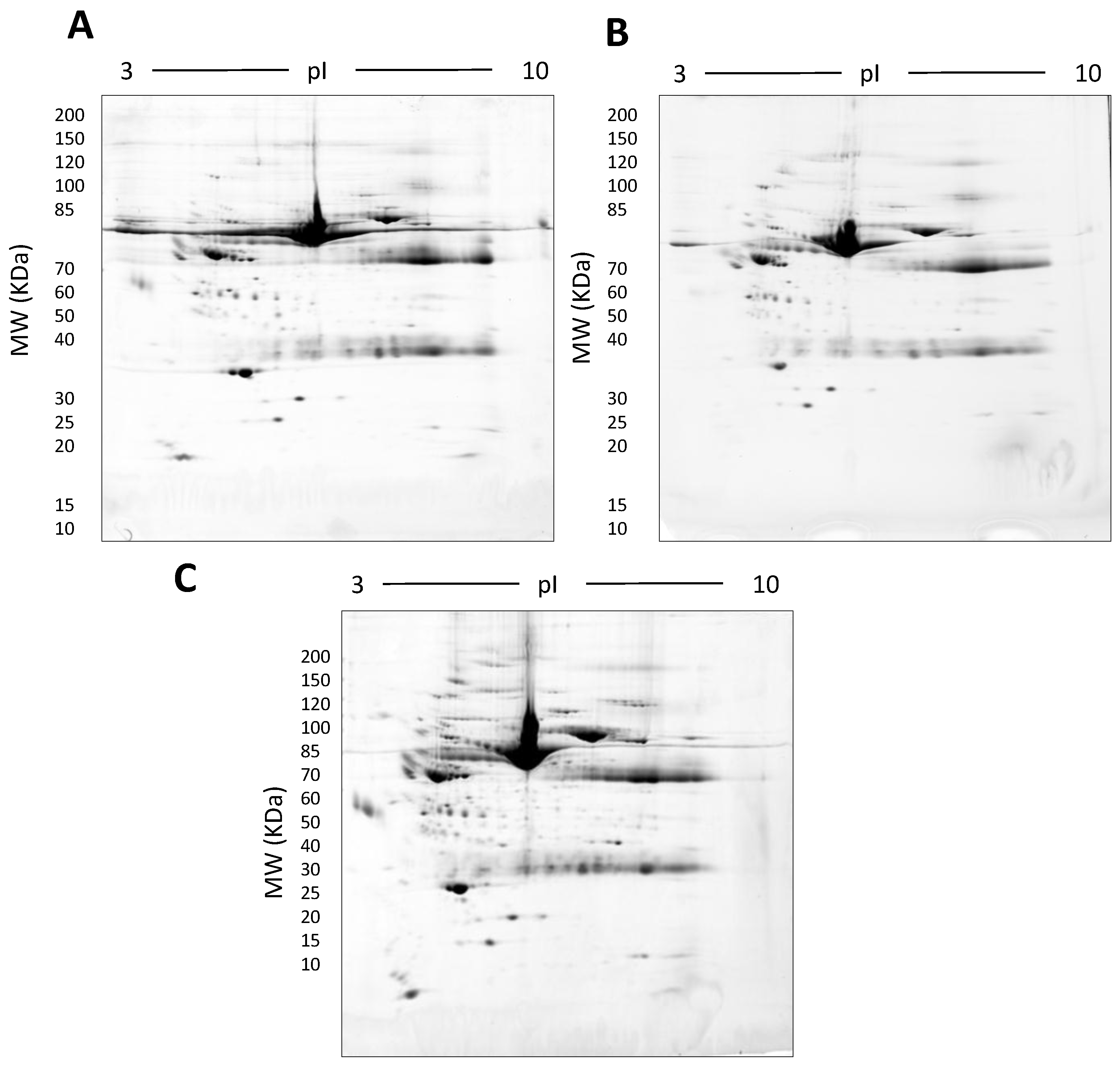 Proteomes 05 00013 g007