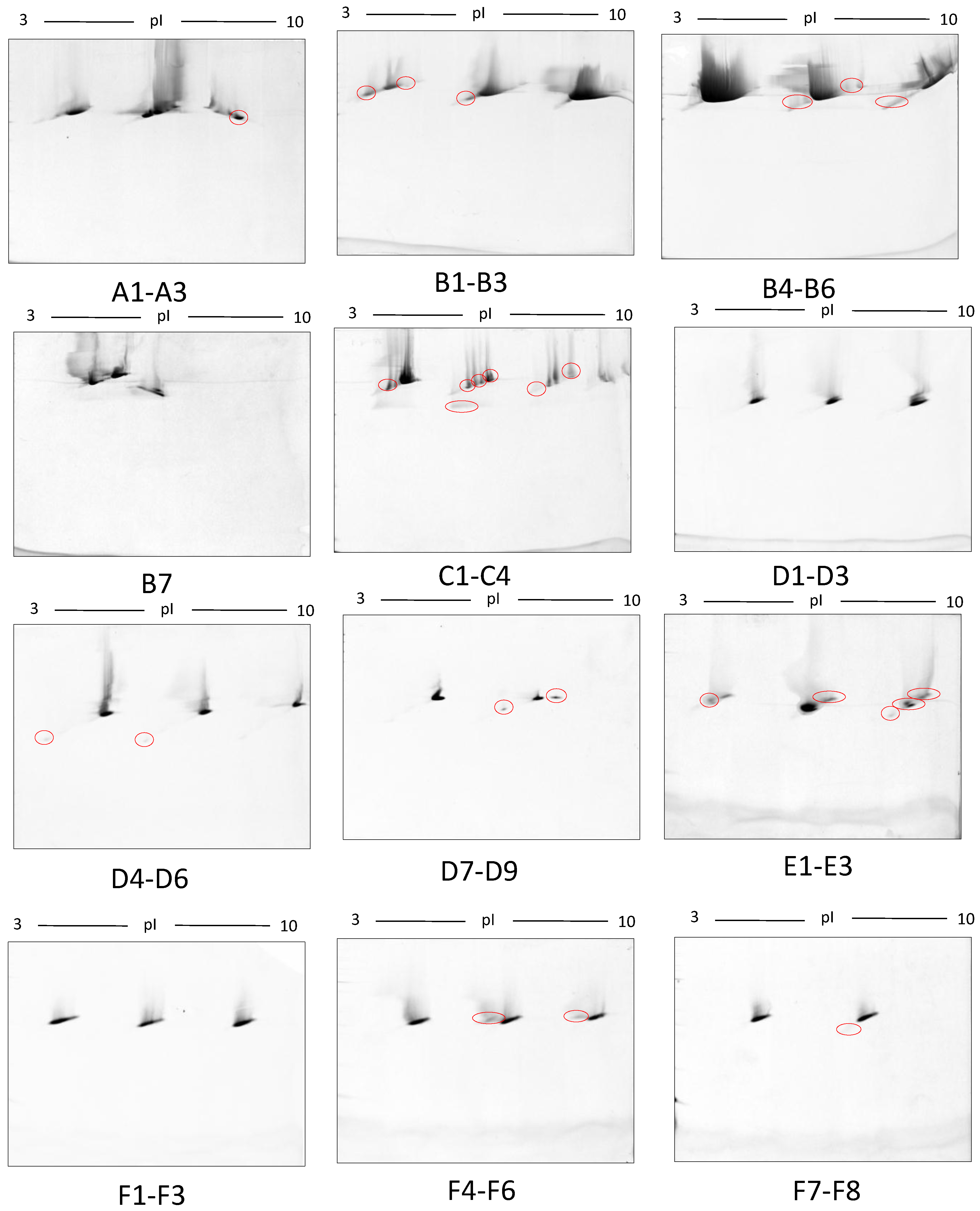 Proteomes 05 00013 g009