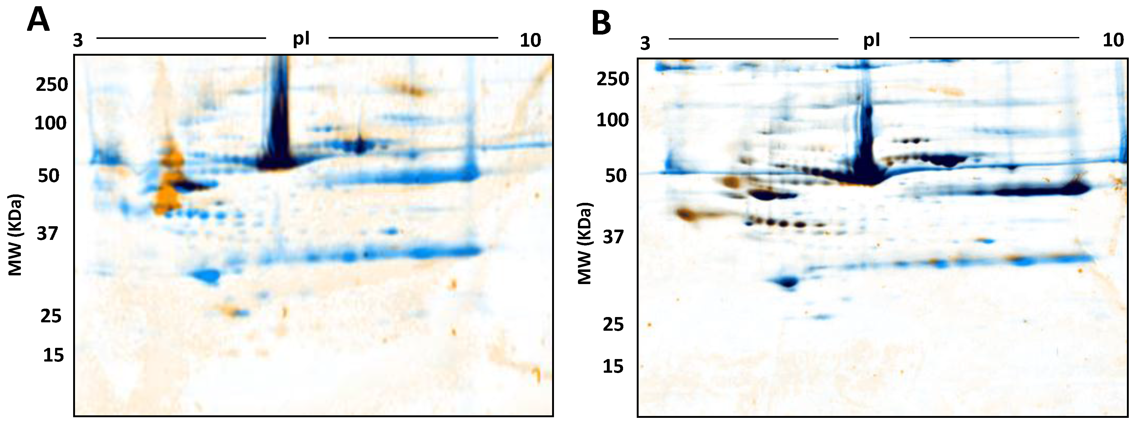 Proteomes 05 00013 g010