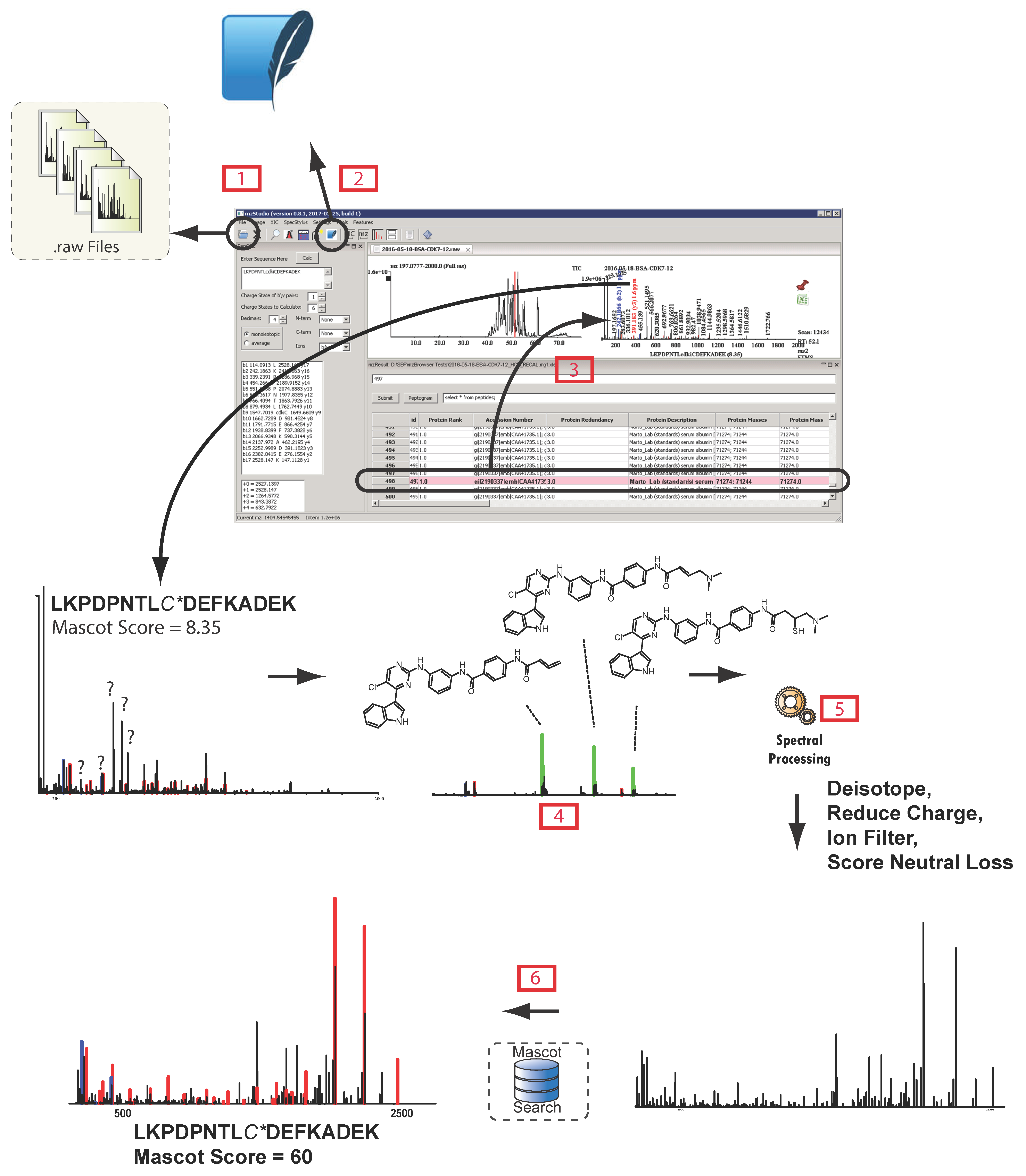 Proteomes 05 00020 g002