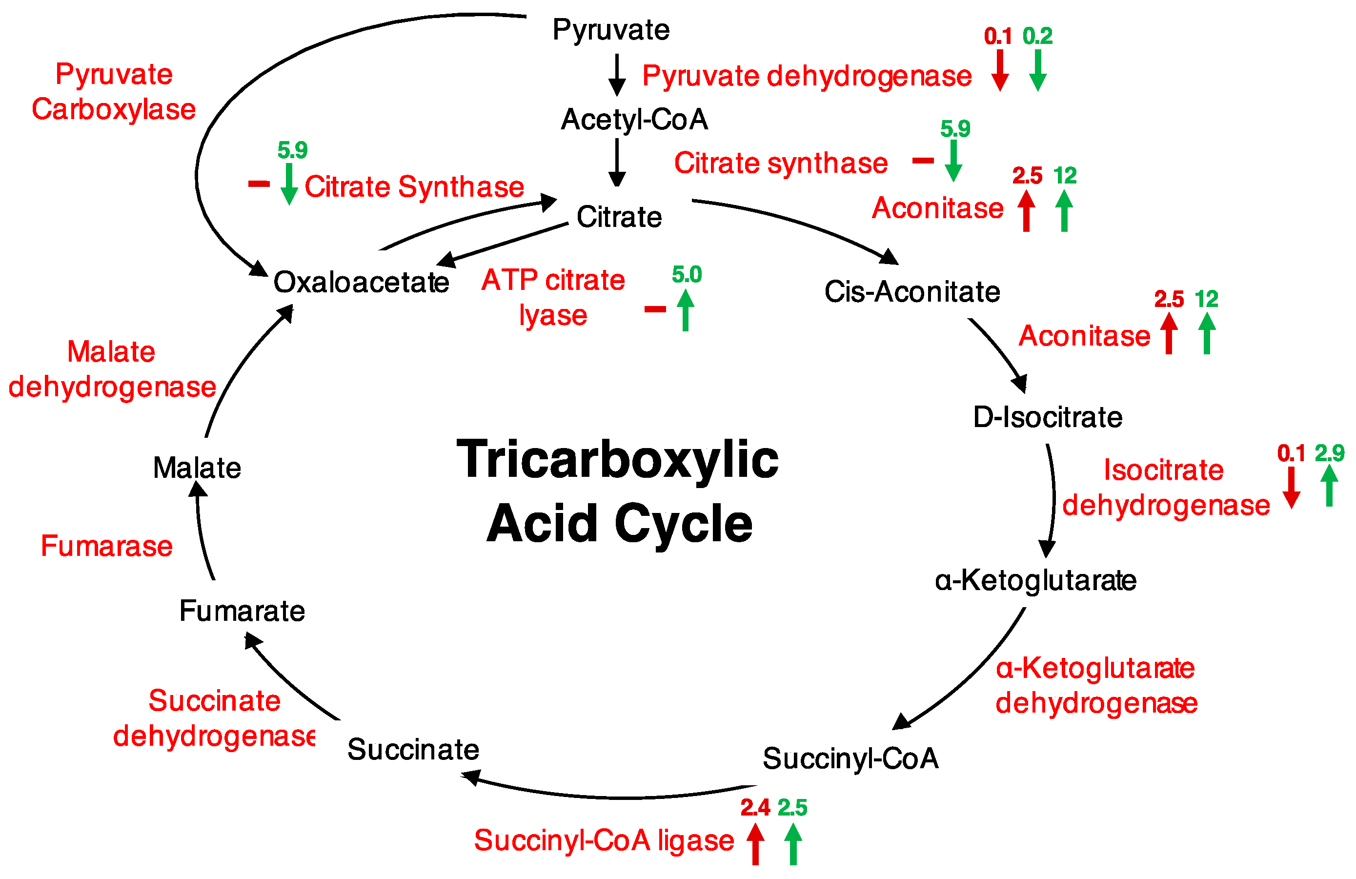 Proteomes 05 00022 g001