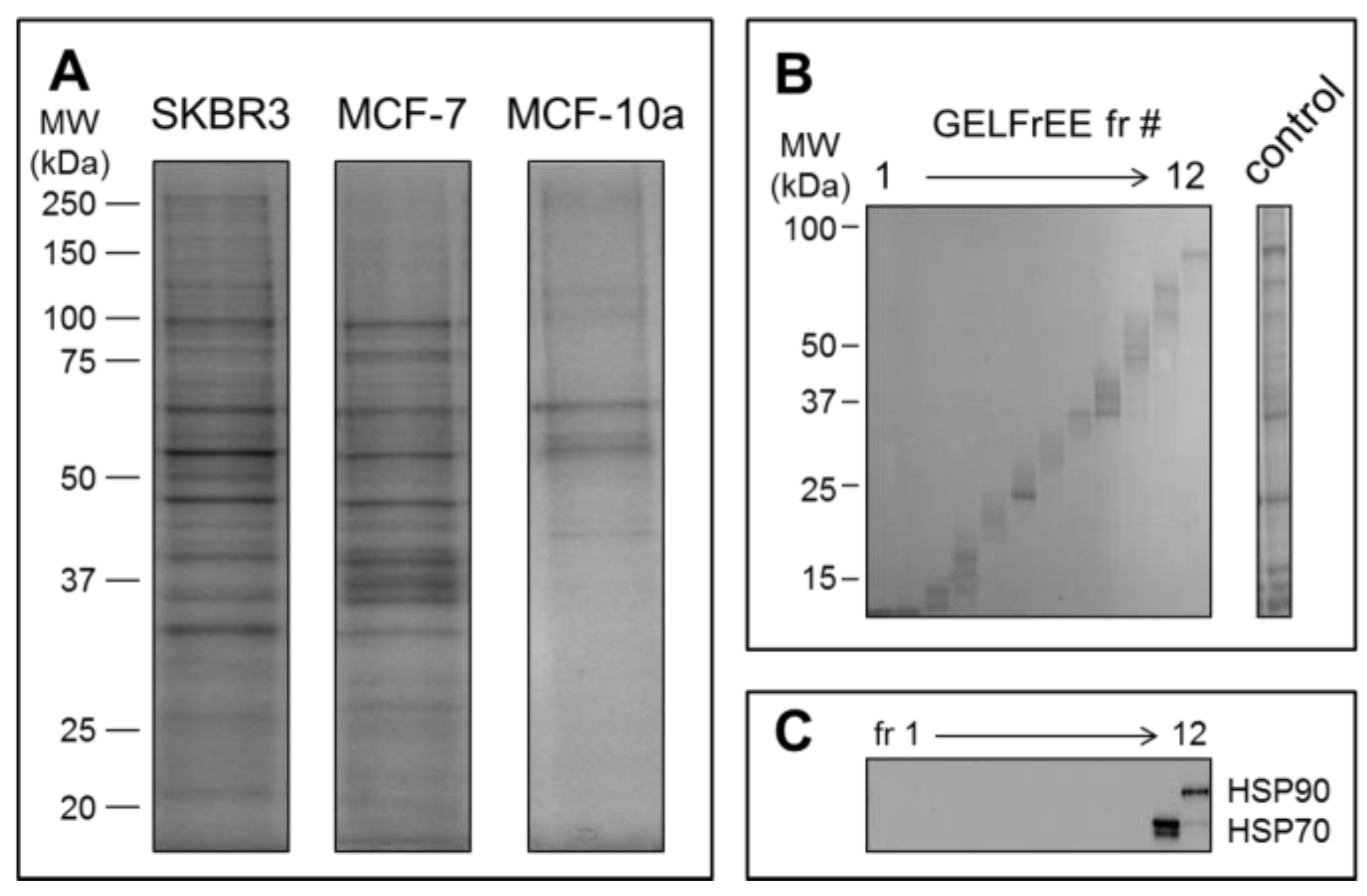Proteomes 05 00025 g004