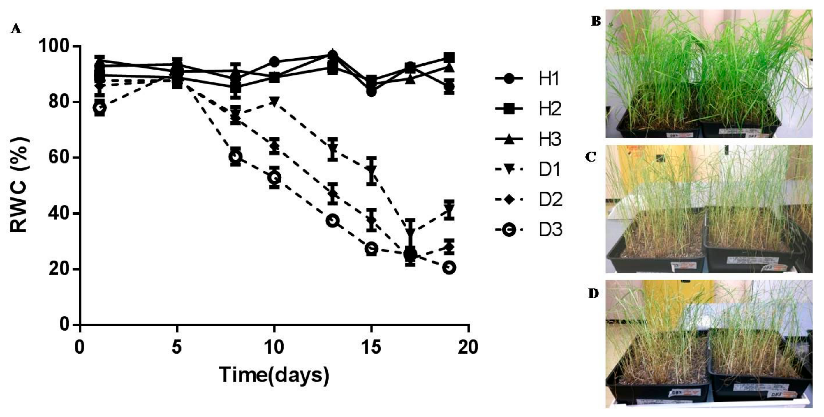 Proteomes 05 00032 g001