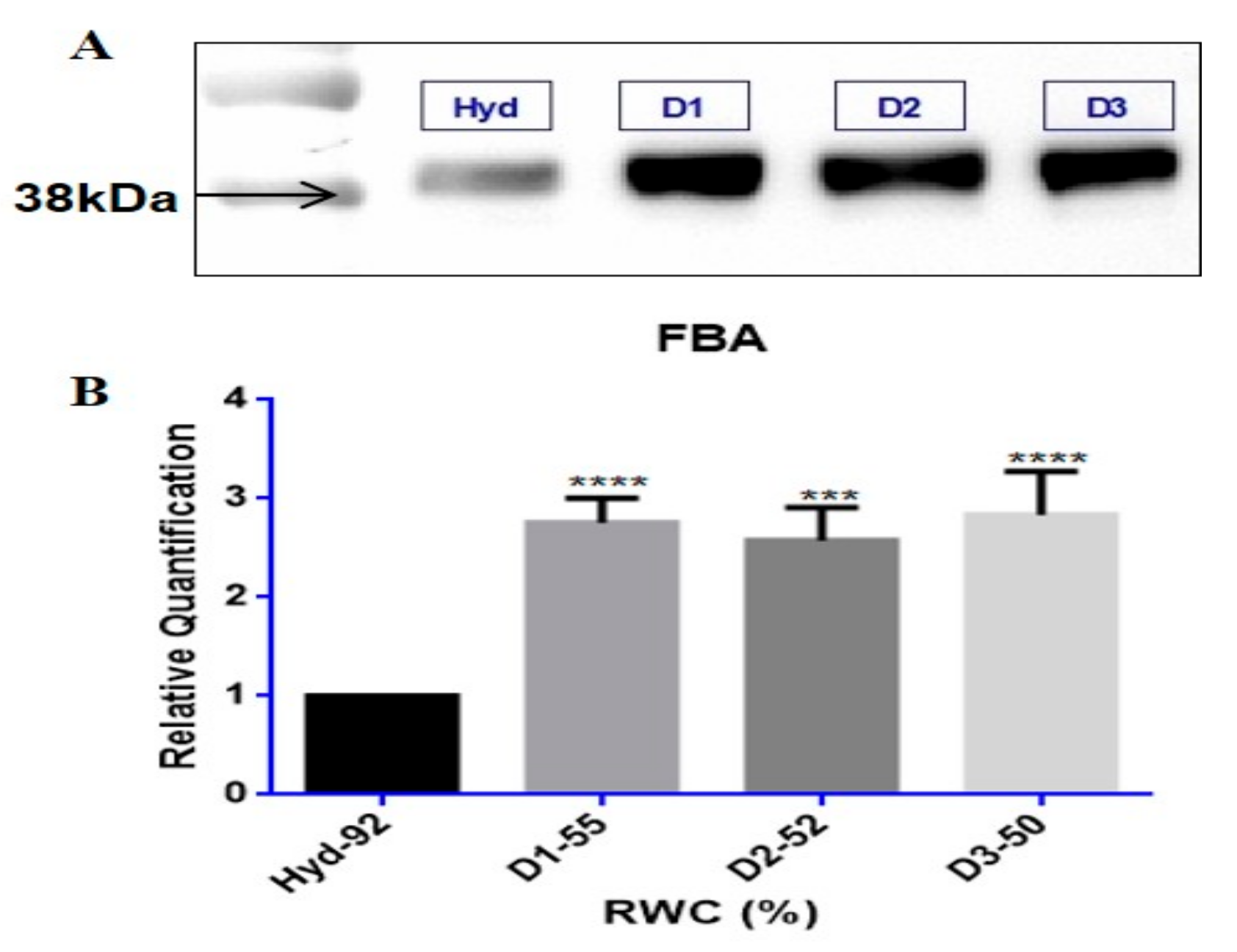 Proteomes 05 00032 g004