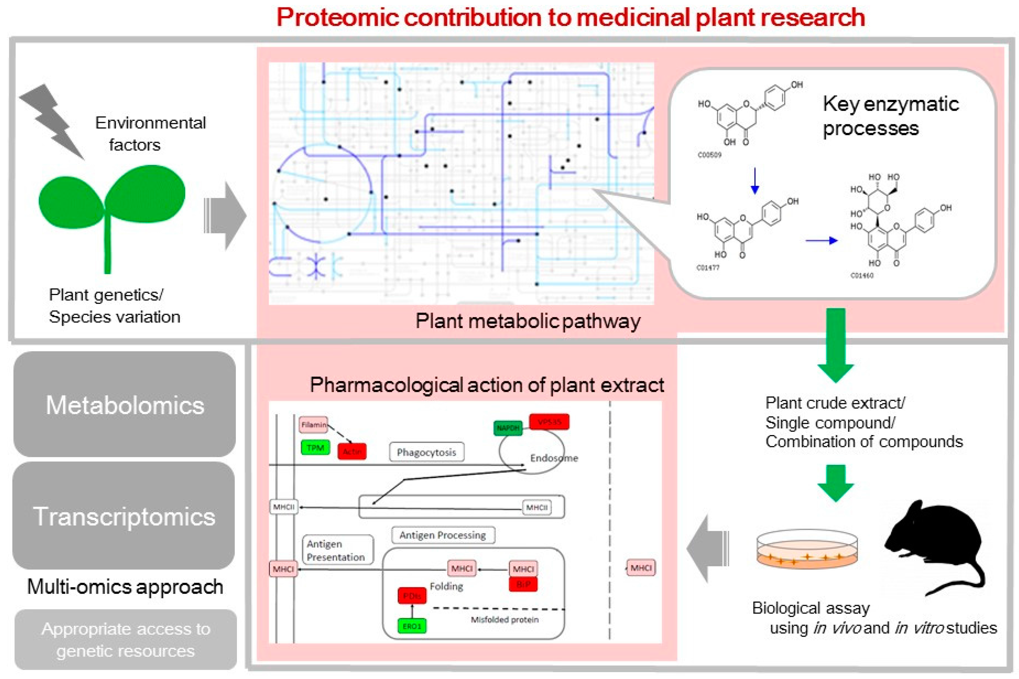 Proteomes 05 00035 g001