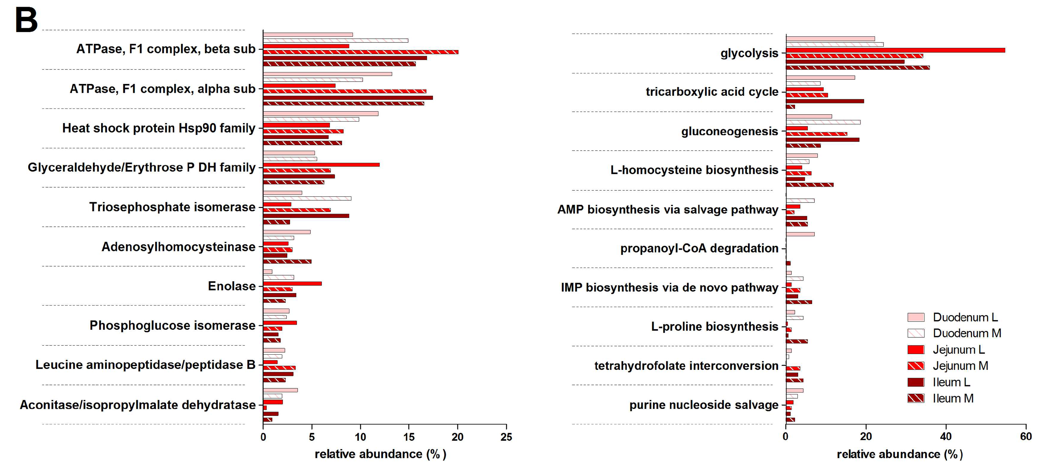 Proteomes 05 00036 g004b