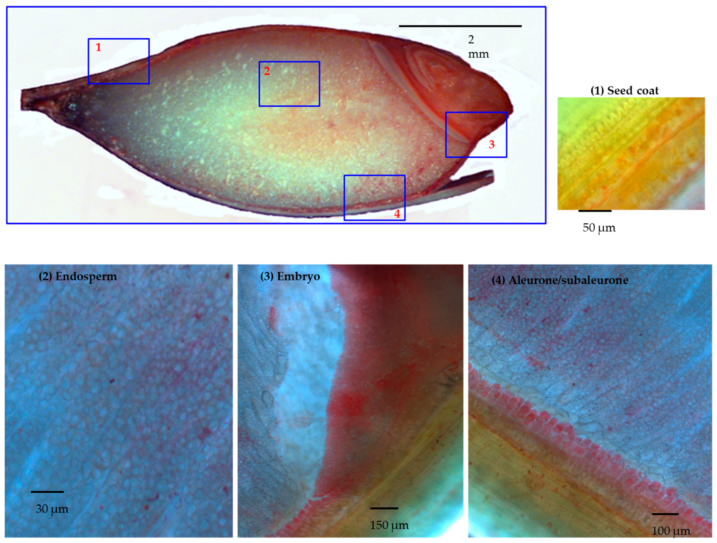 Proteomes 06 00003 g001 Proteomes 06 00003 g001