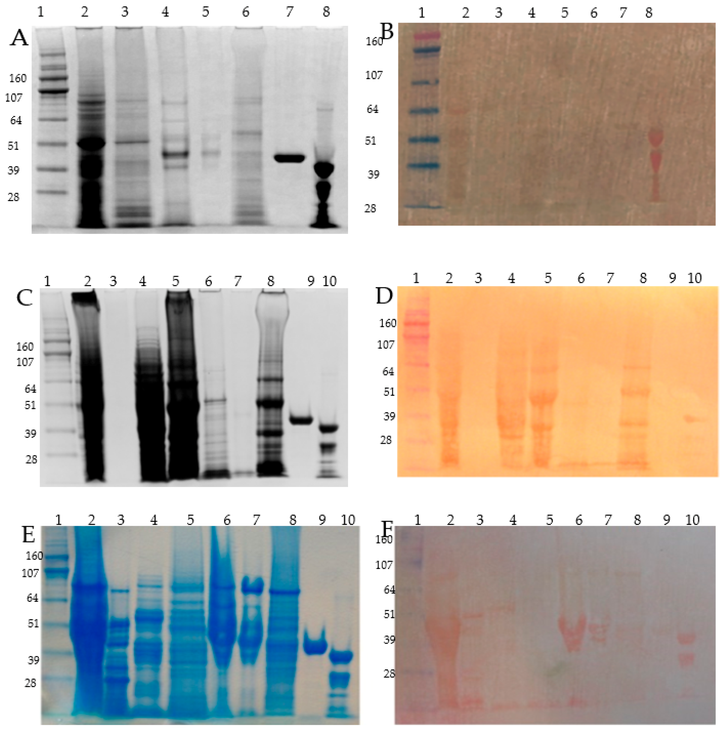 Proteomes 06 00003 g002 Proteomes 06 00003 g002
