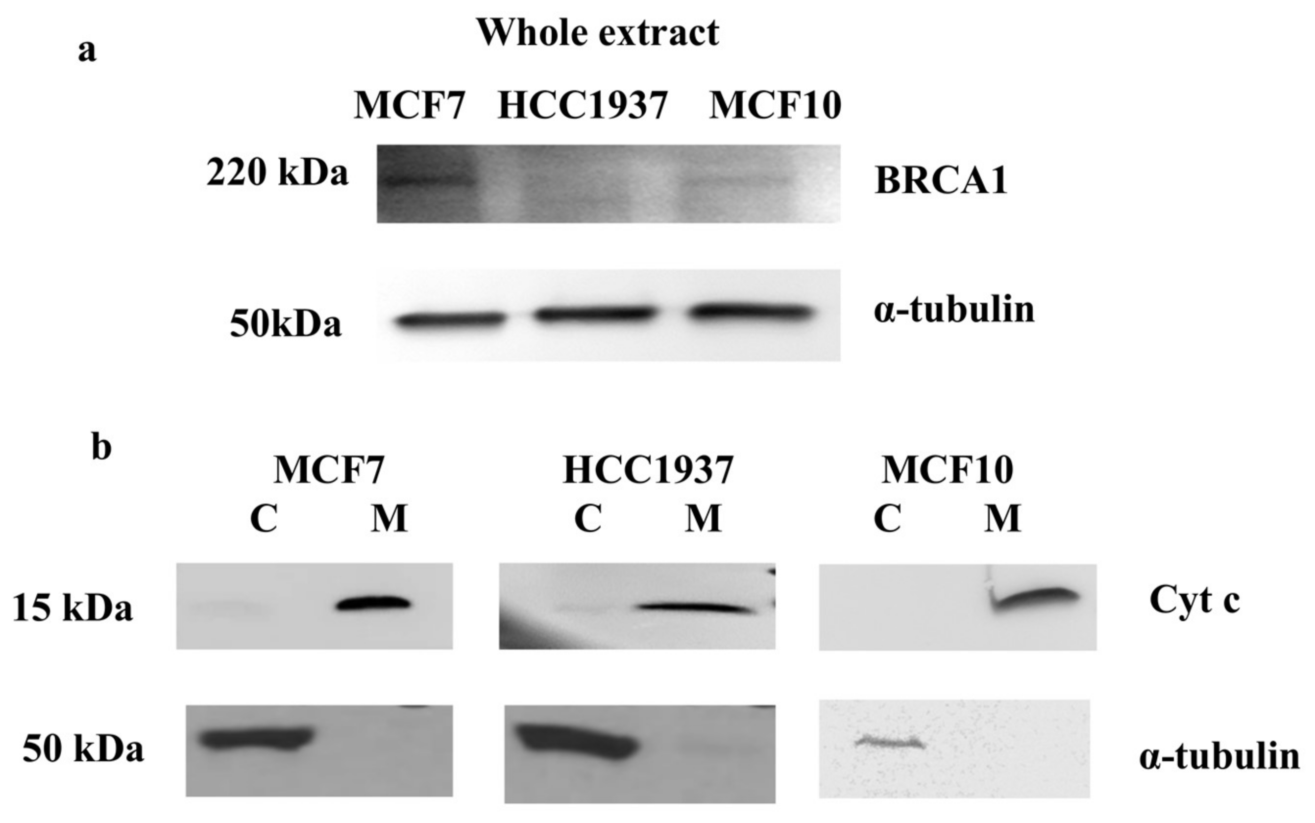 Proteomes 06 00016 g001