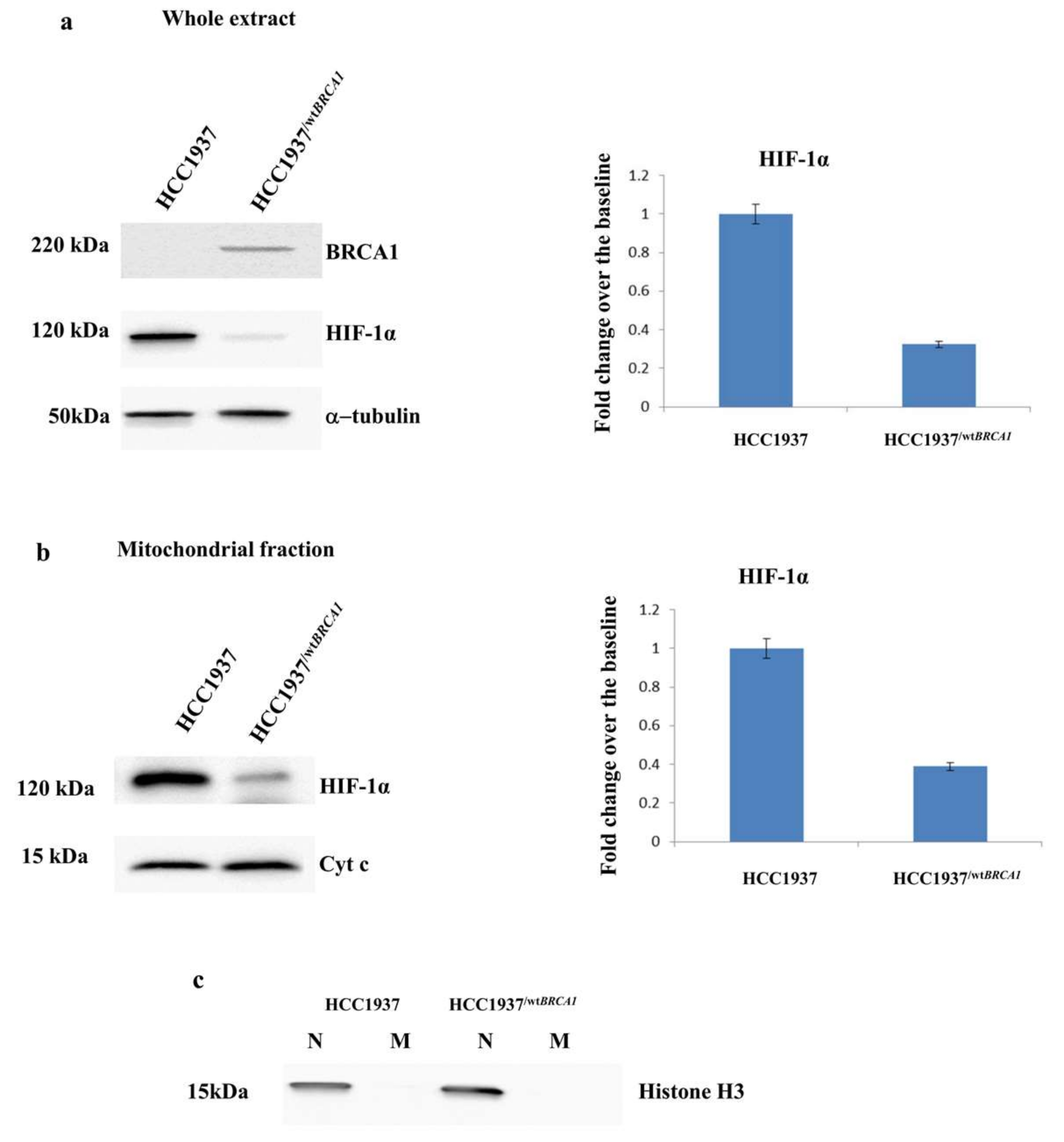 Proteomes 06 00016 g007