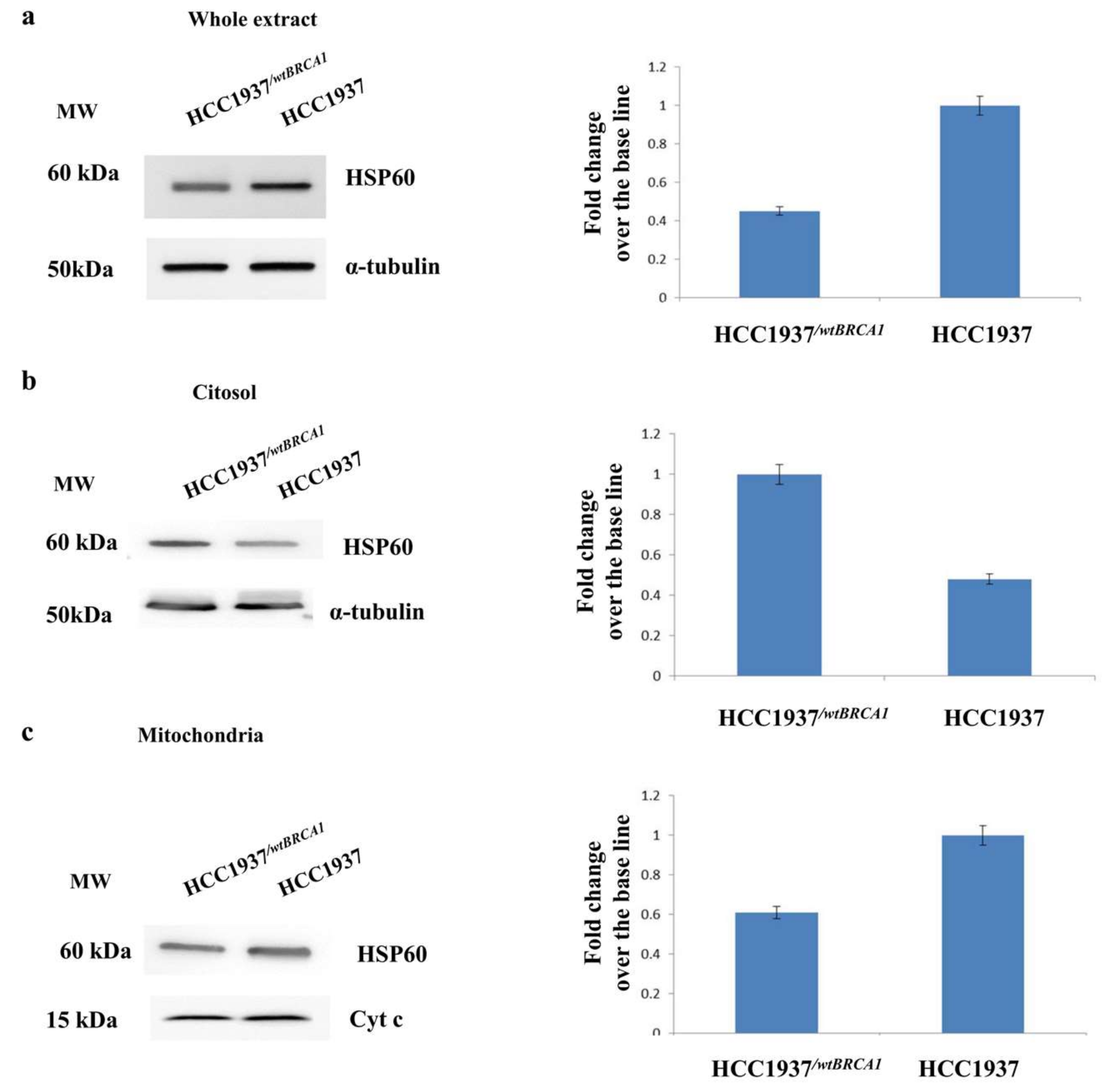 Proteomes 06 00016 g008