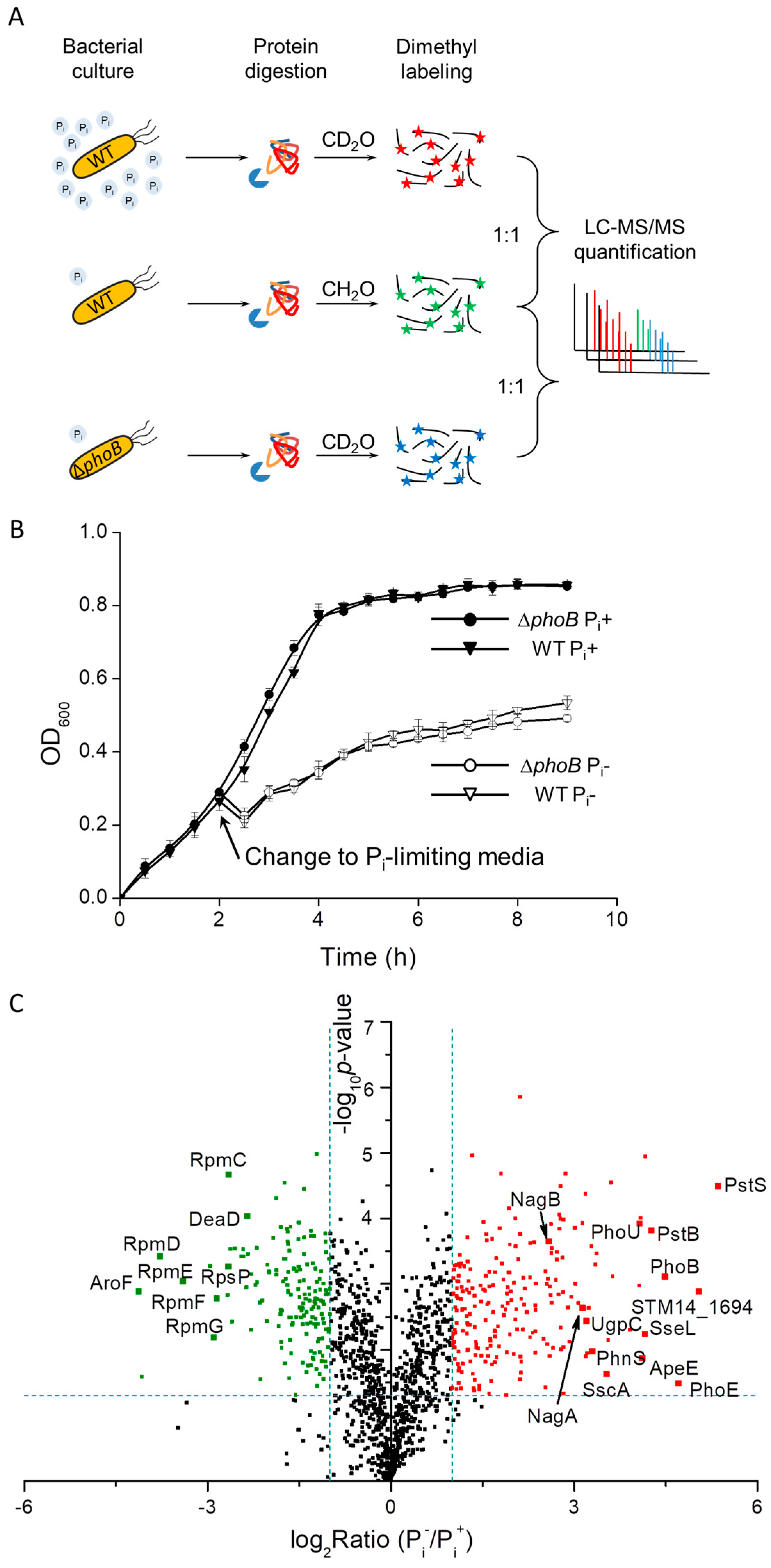 Proteomes 06 00019 g001