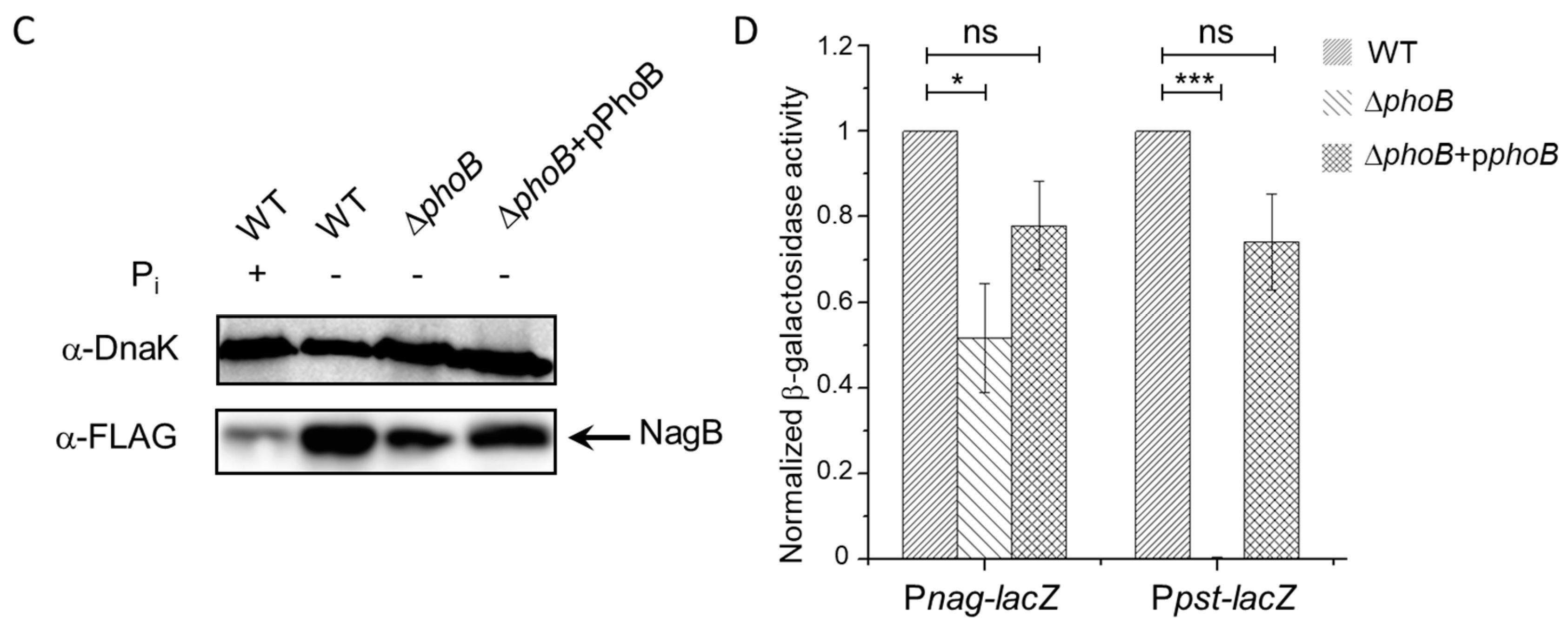 Proteomes 06 00019 g003b