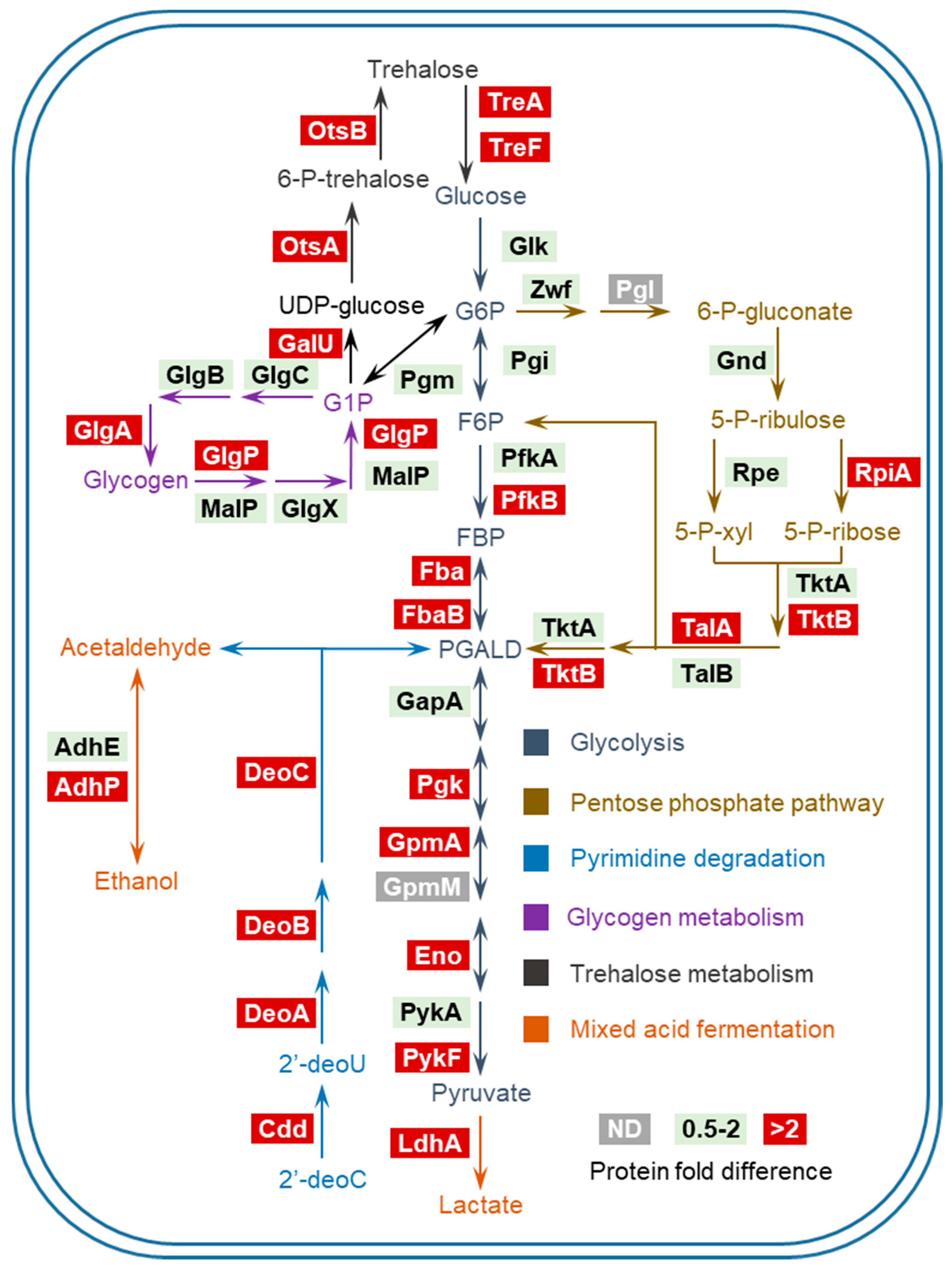 Proteomes 06 00019 g004