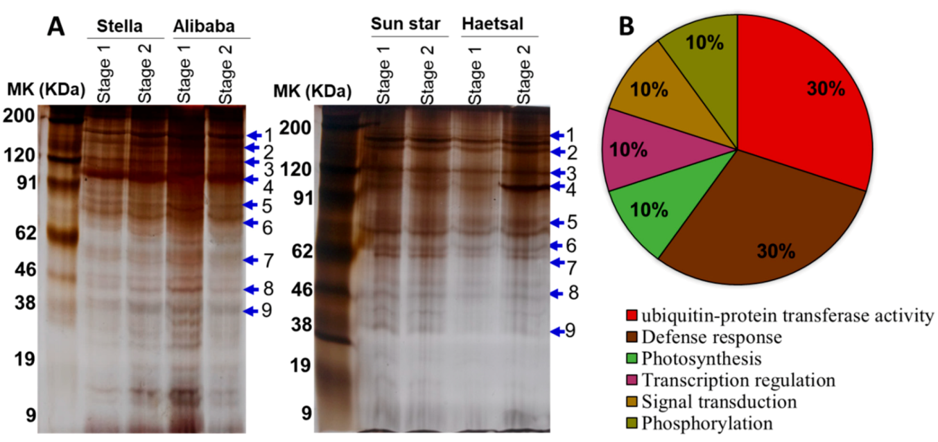 Proteomes 06 00025 g002