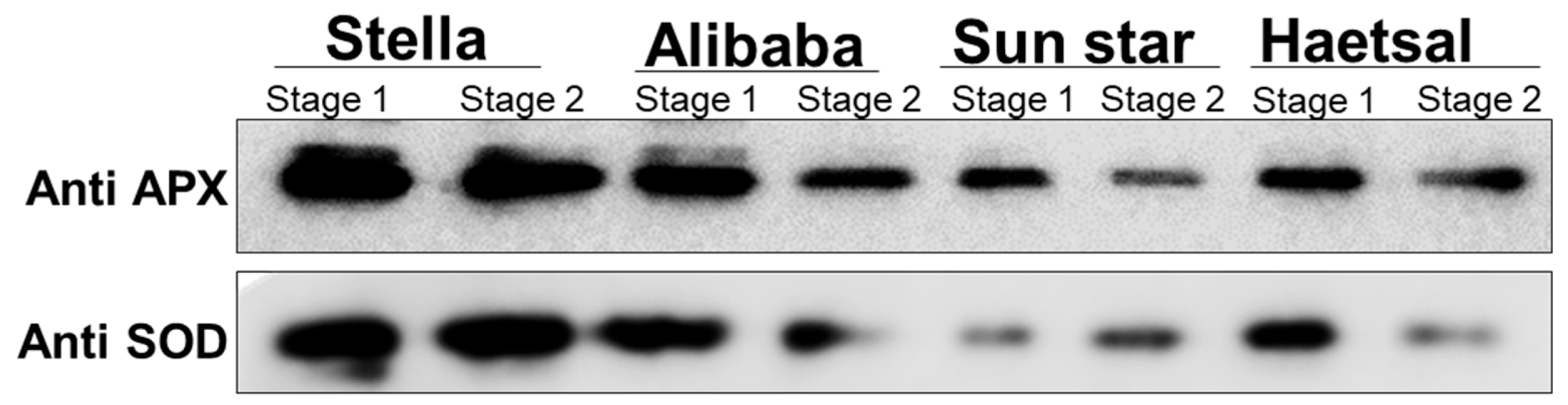 Proteomes 06 00025 g003