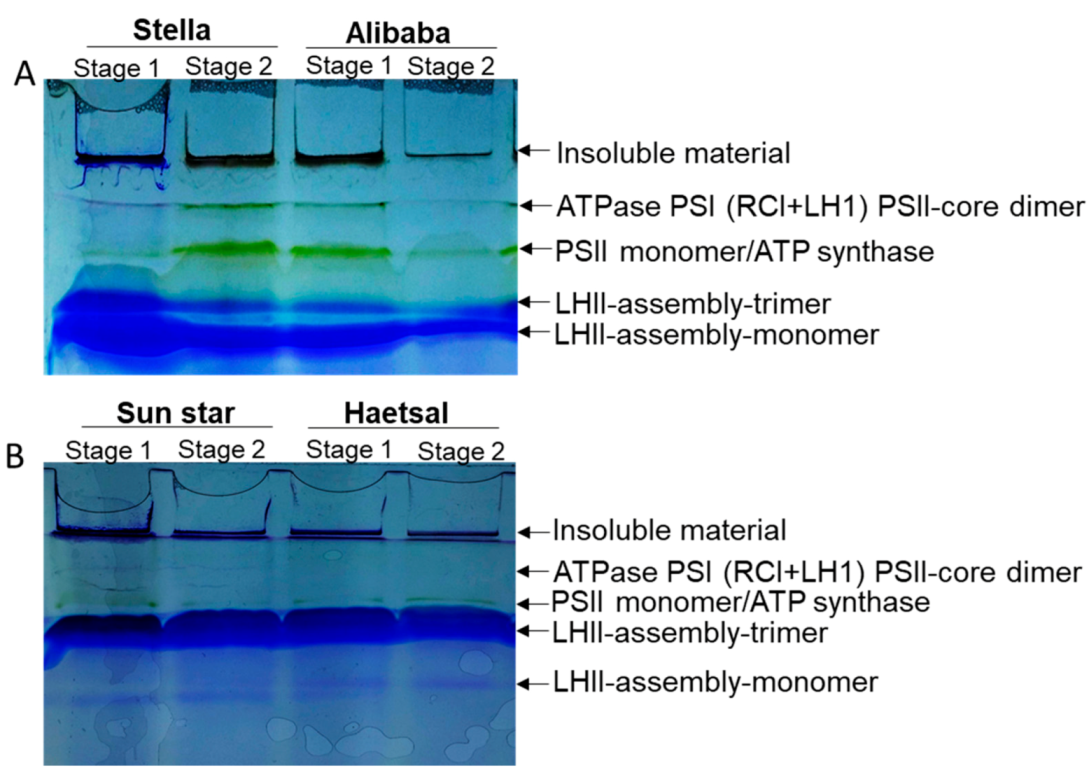 Proteomes 06 00025 g004