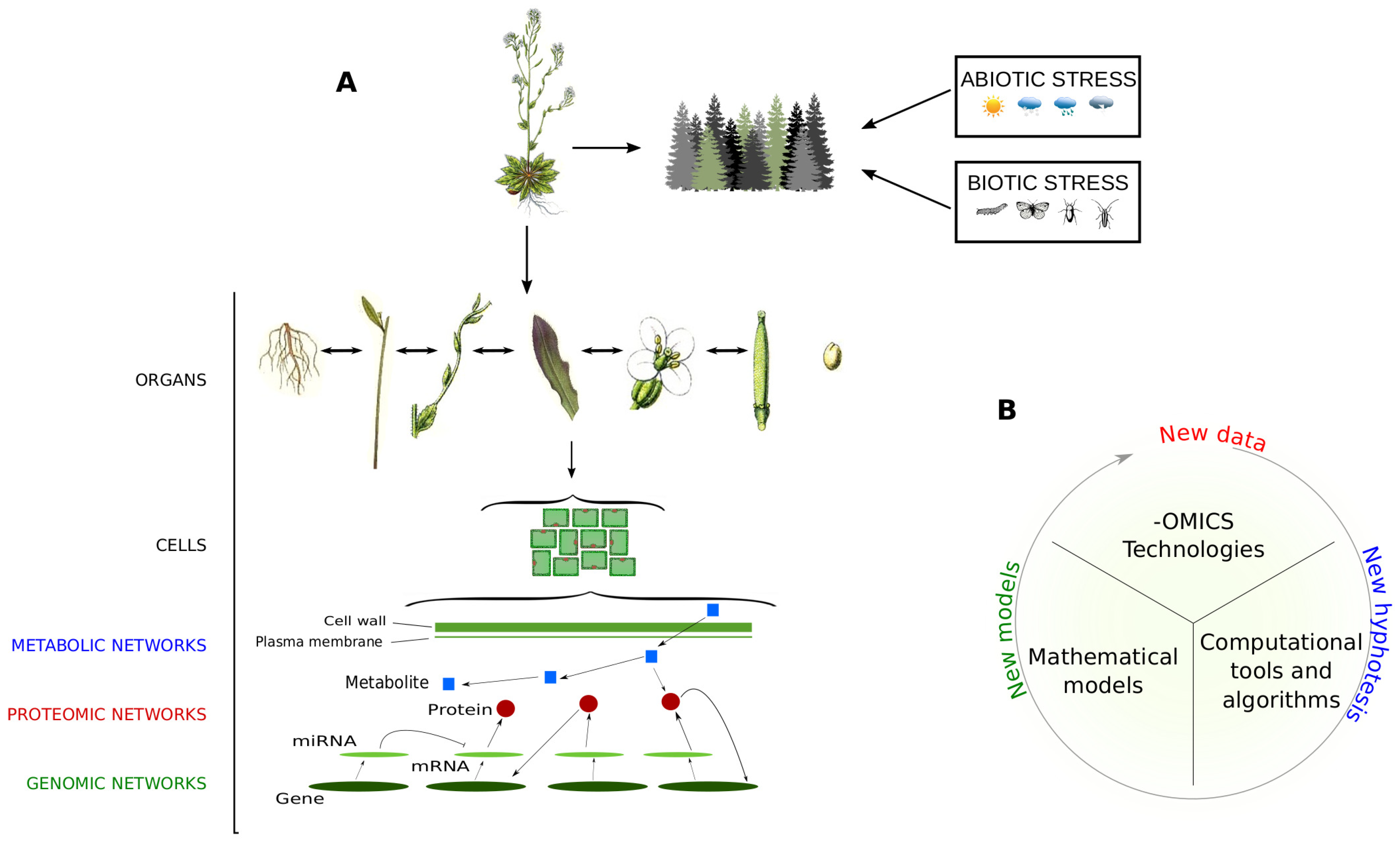 Proteomes 06 00027 g001